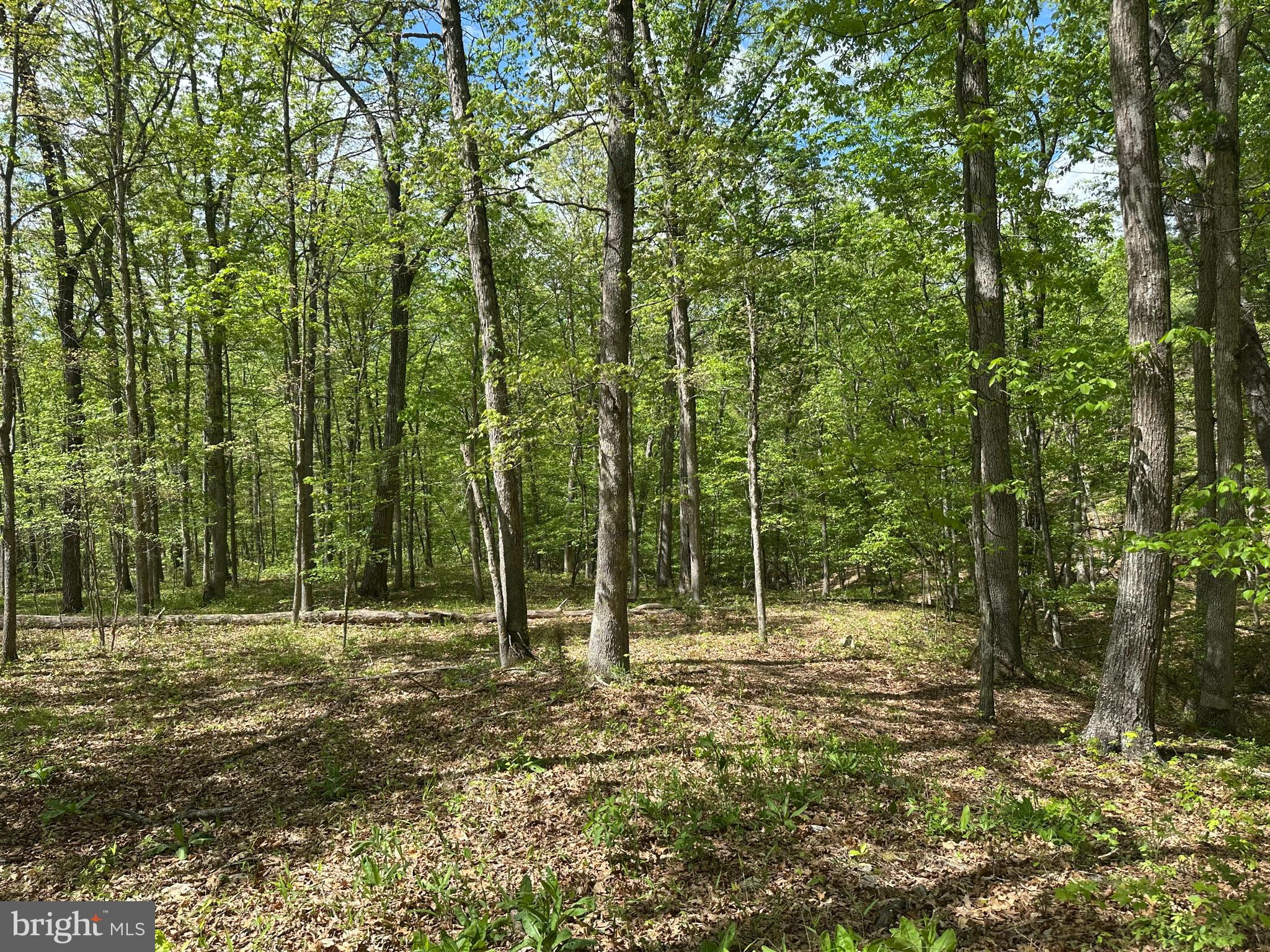 SOUTH POTOMAC FARMS # II - Land