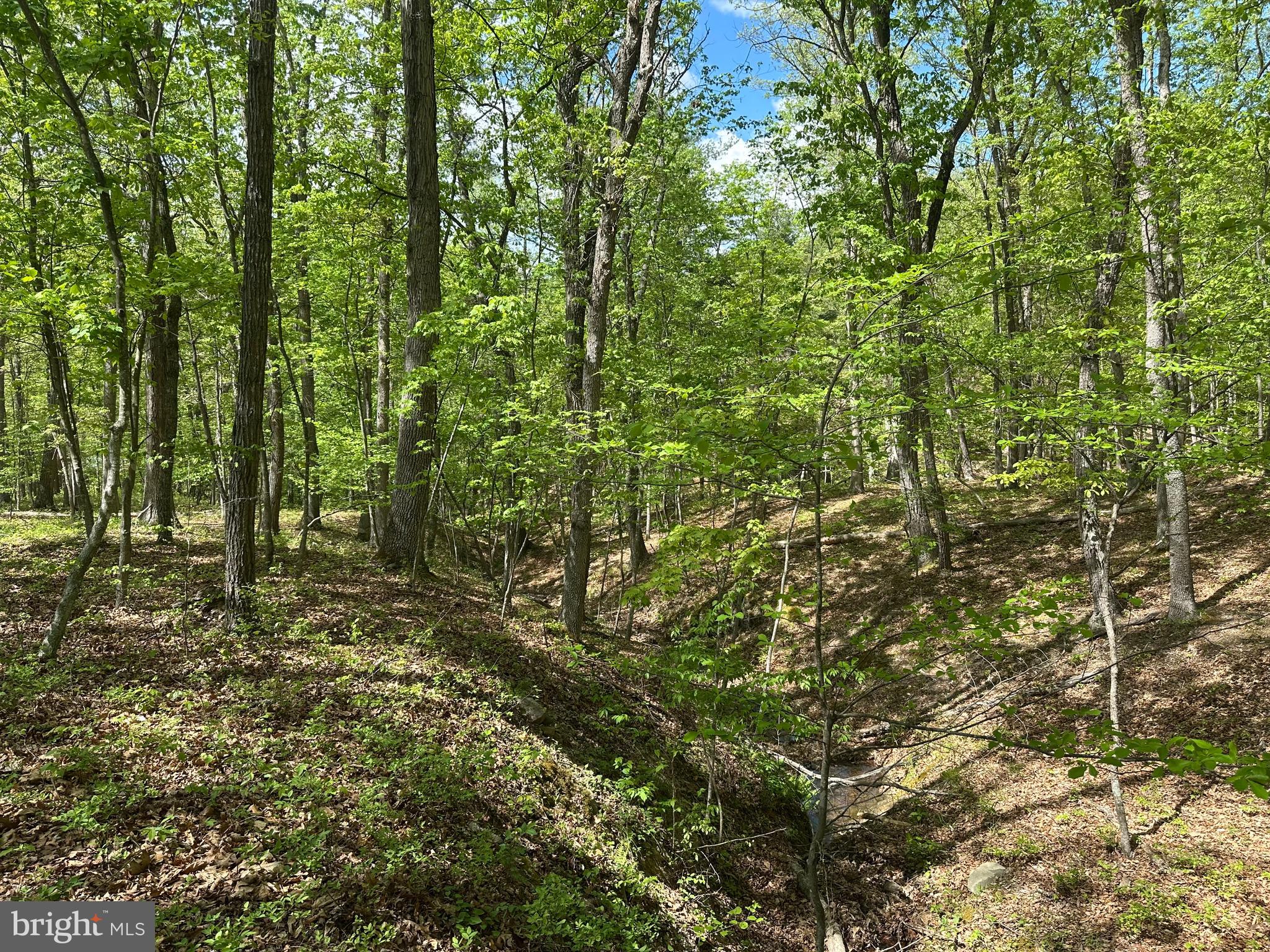 SOUTH POTOMAC FARMS # II - Land