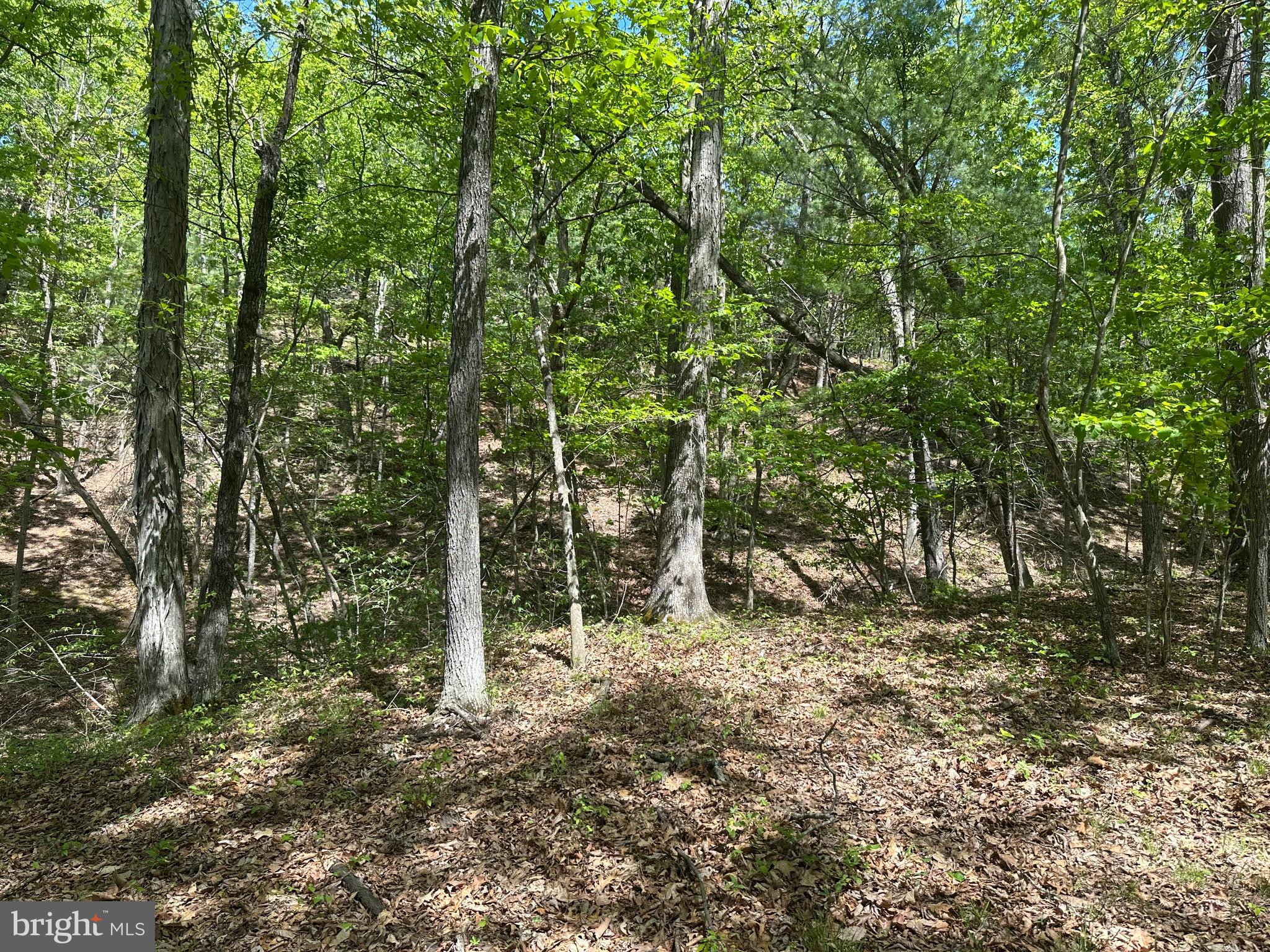 SOUTH POTOMAC FARMS # II - Land