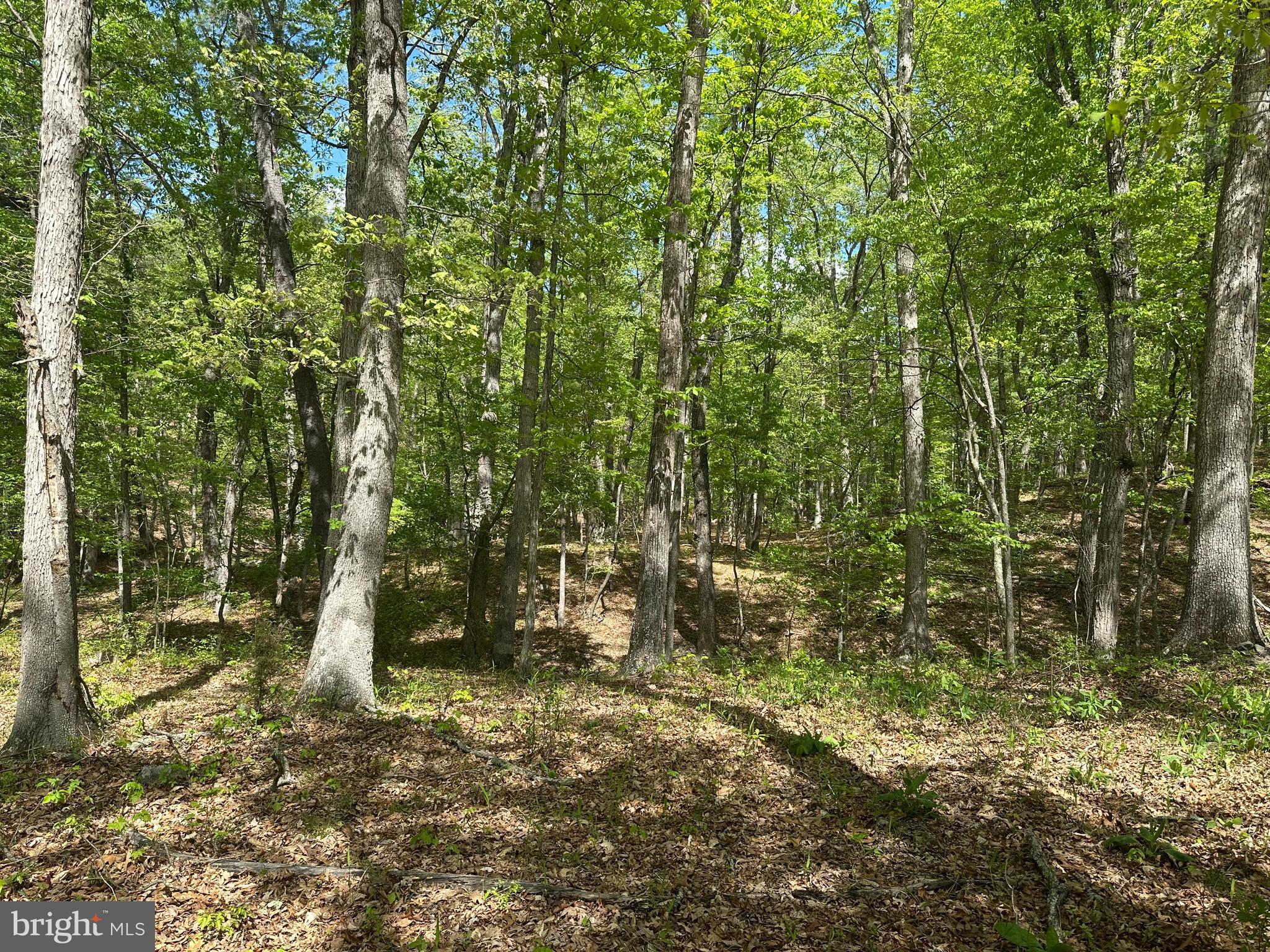 SOUTH POTOMAC FARMS # II - Land