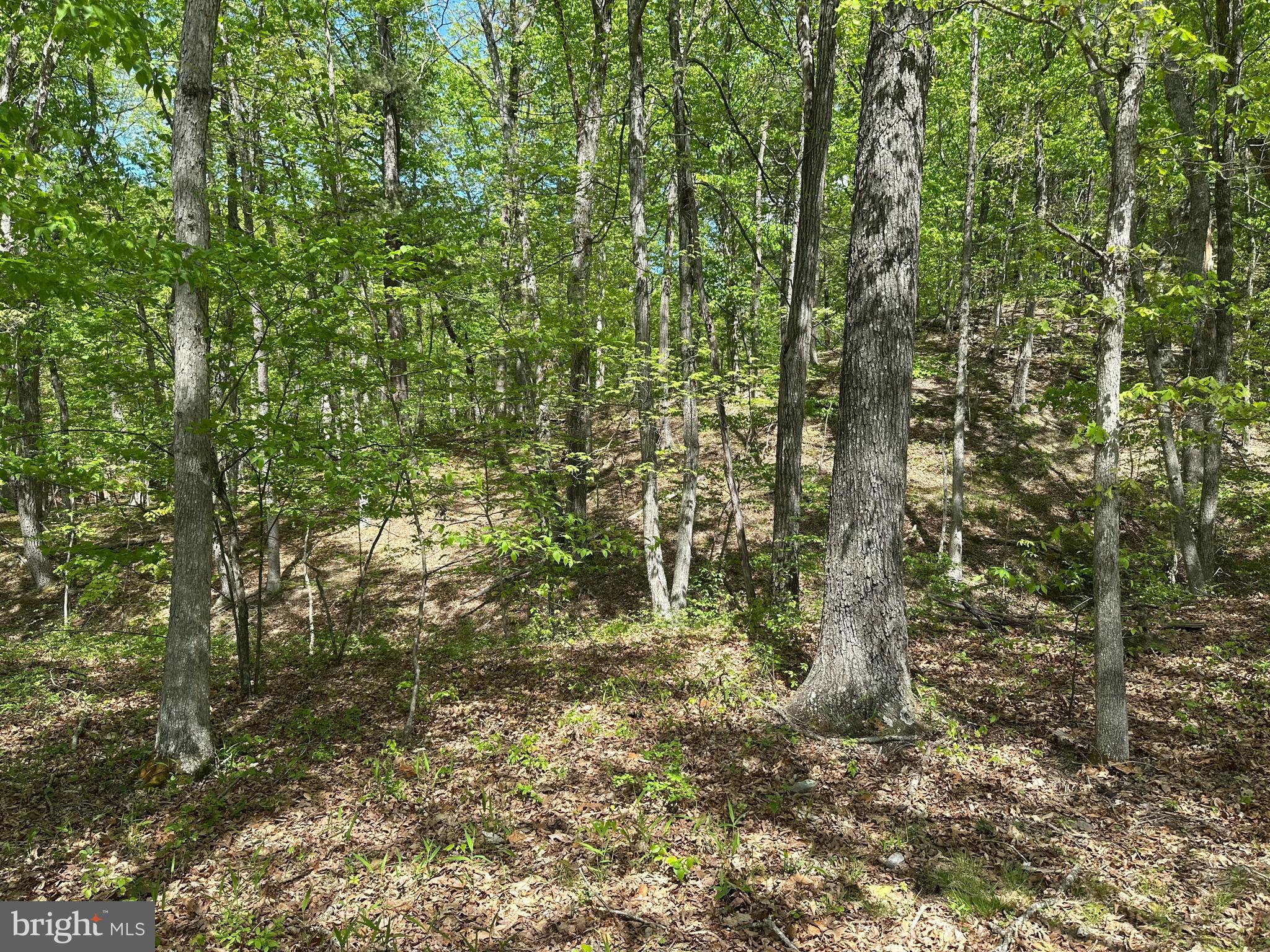 SOUTH POTOMAC FARMS # II - Land