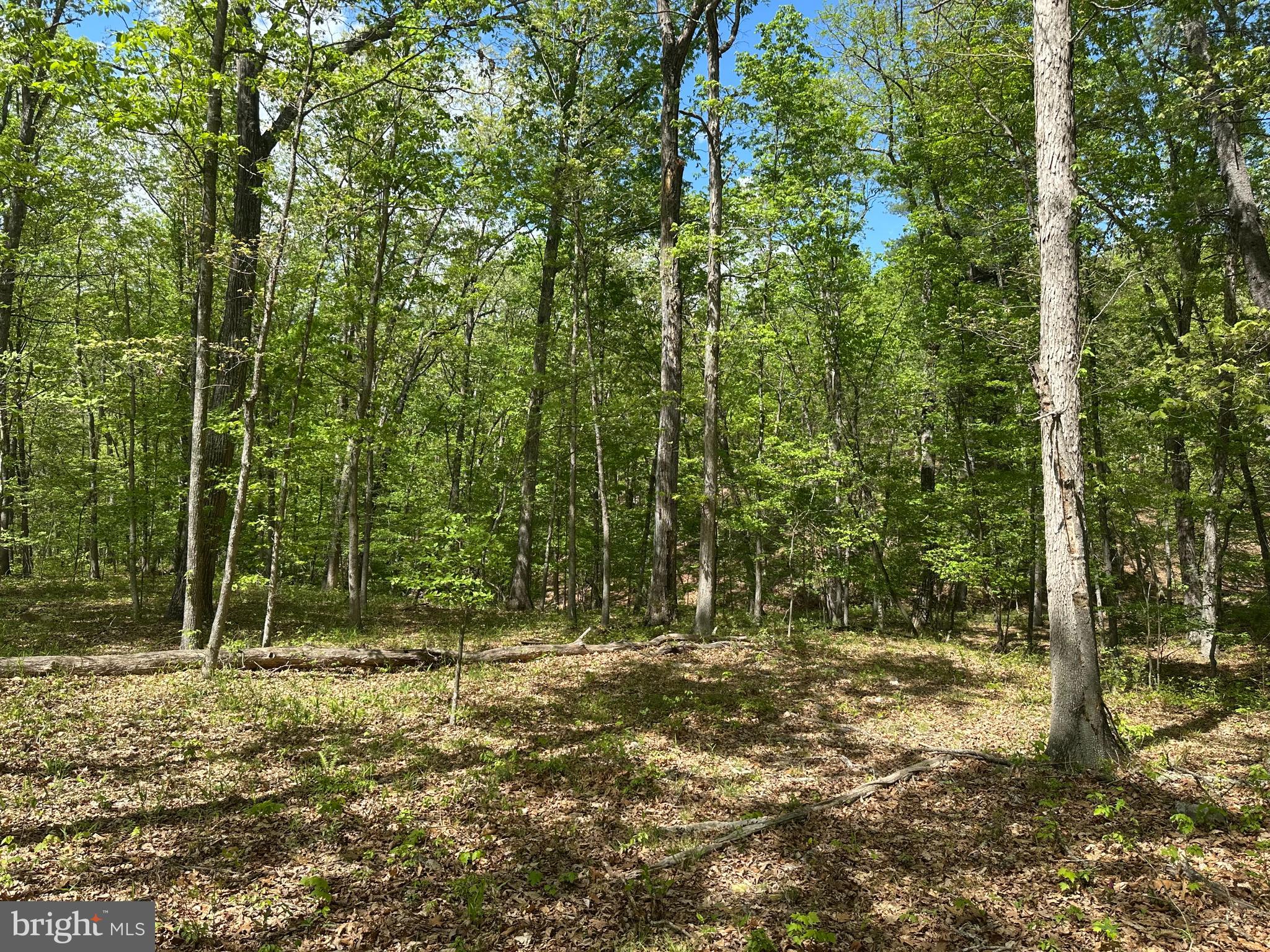 SOUTH POTOMAC FARMS # II - Land