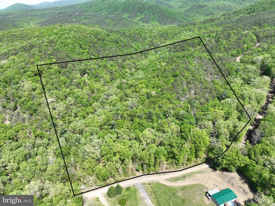 Your mountain escape awaits! This 13.06-acre parcel, made up of two adjoining lots, offers endless possibilities—perfect for recreation, hunting, or building your dream home or cabin. The land is fully wooded with mature hardwood timber and loaded with the Big Three: deer, turkey, and the occasional black bear. Whether you're an avid outdoorsman or just looking for a private retreat, this property delivers. The topography offers a mix of gentle slopes and ridges, with multiple potential building sites. Thanks to the dual-lot setup, you’ll have flexibility for personal use now and future options down the road.
Located in the heart of Hardy County, this property is just minutes from Corridor H, the South Branch of the Potomac River, and thousands of acres of public land for hunting, hiking, and exploring. Despite its private, rural setting, you’re less than two hours from most areas in the Washington, D.C. metro region.
The surrounding hardwood forest not only enhances the natural beauty and wildlife habitat but also offers long-term stress reducing value. This is an investment in land you can use, enjoy, and pass down for generations. Opportunities like this don’t come around often. Now’s the time to claim your piece of the Potomac Highlands.