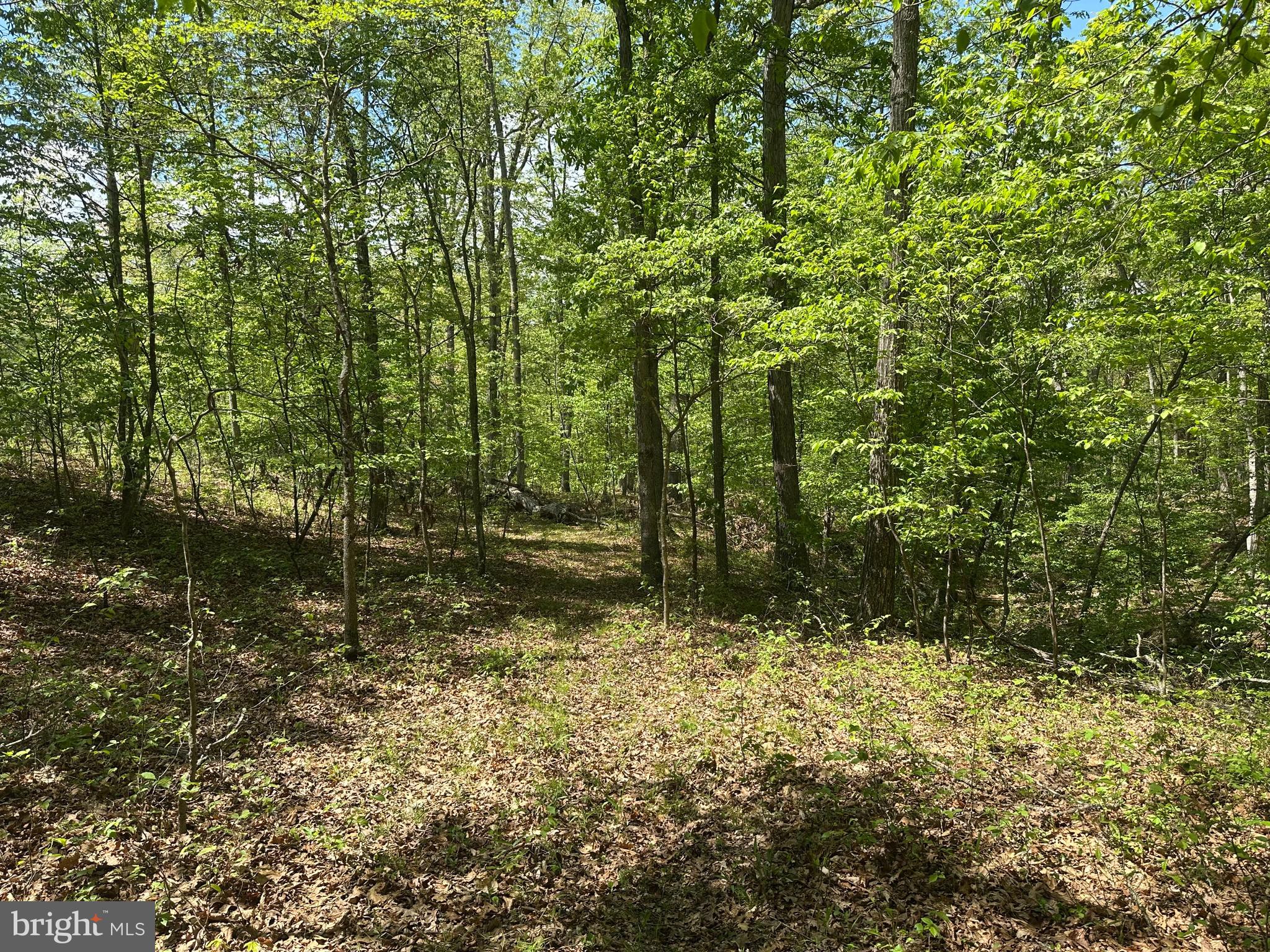 SOUTH POTOMAC FARMS # II - Land