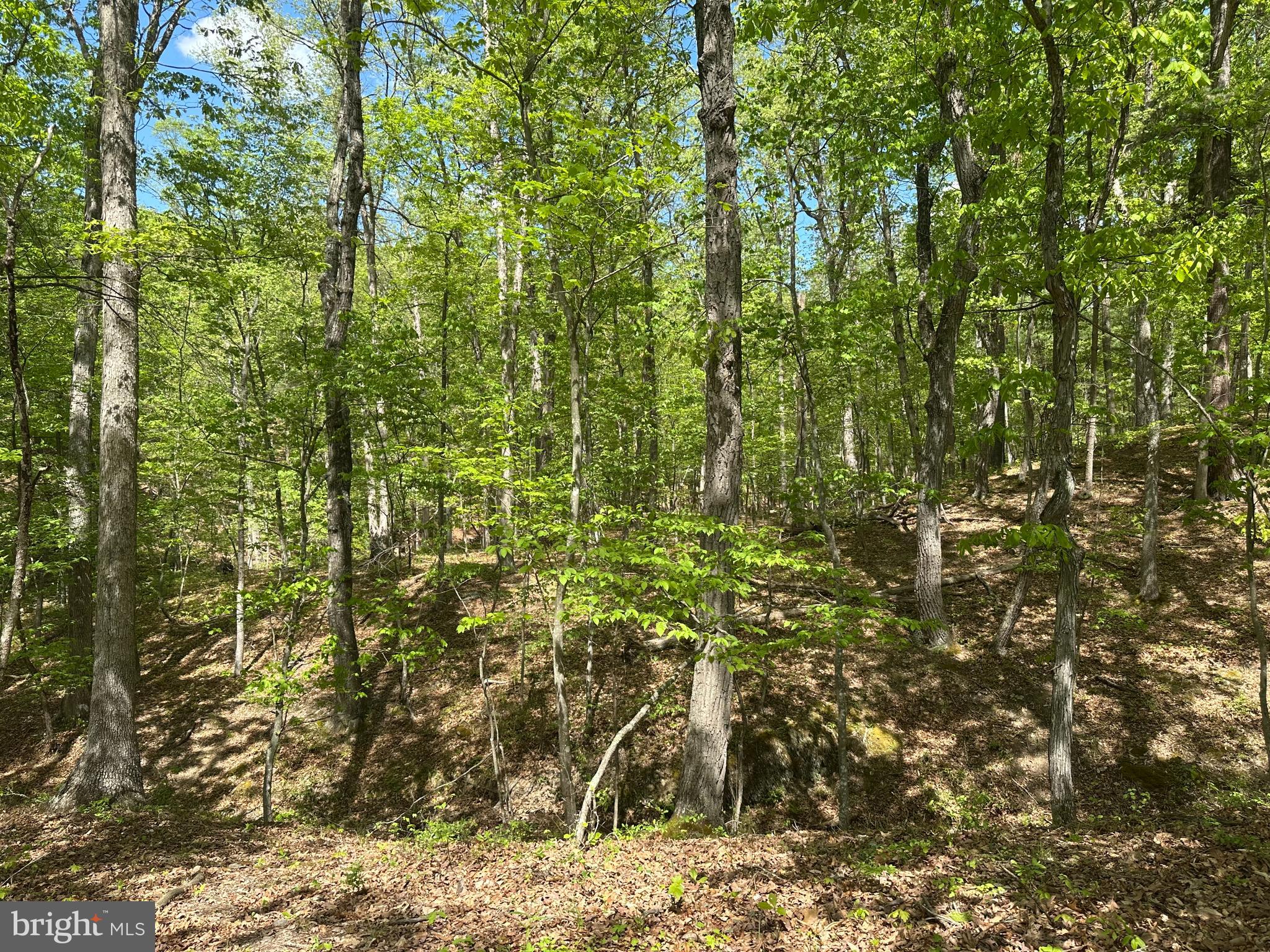 SOUTH POTOMAC FARMS # II - Land