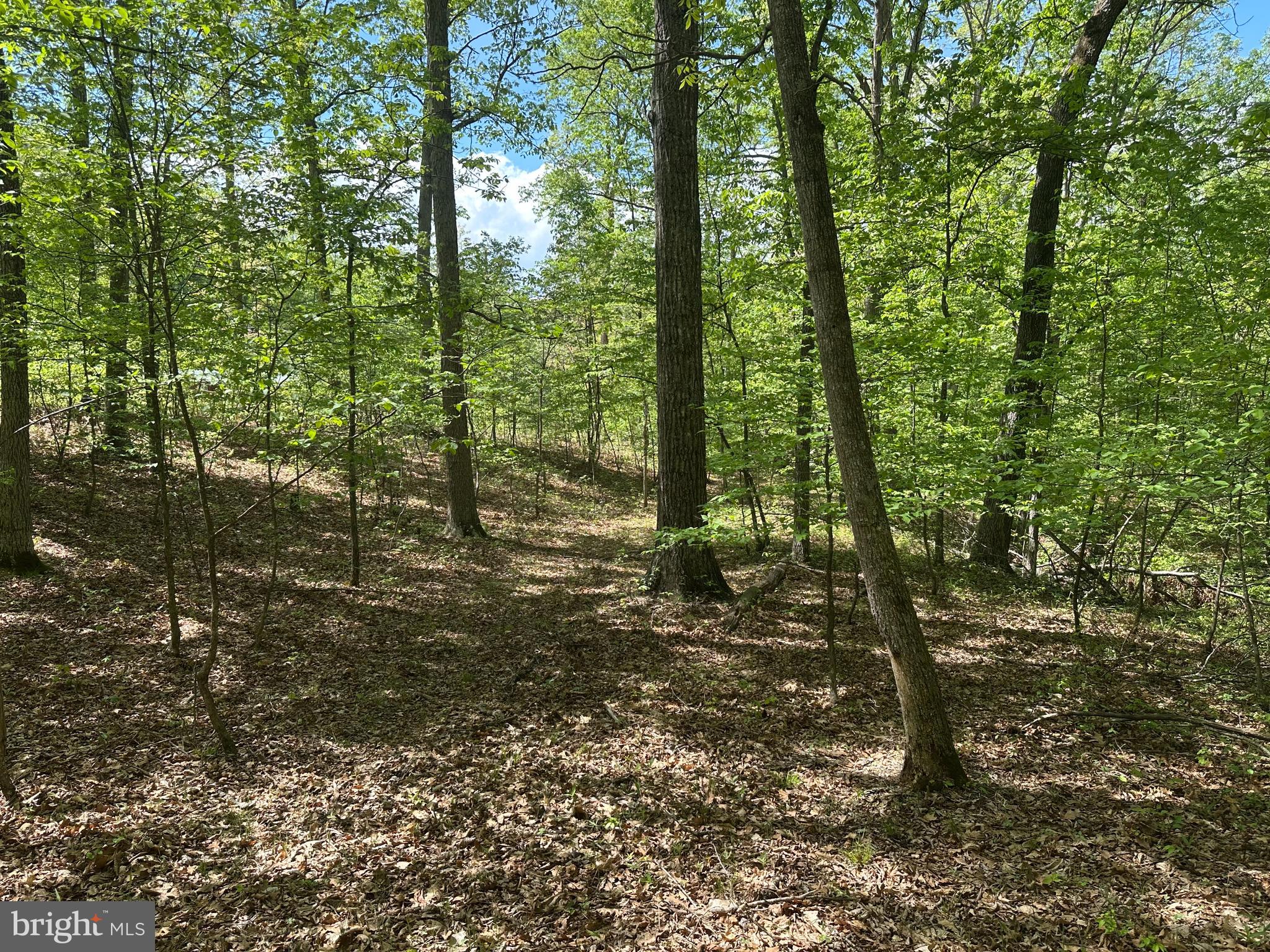 SOUTH POTOMAC FARMS # II - Land