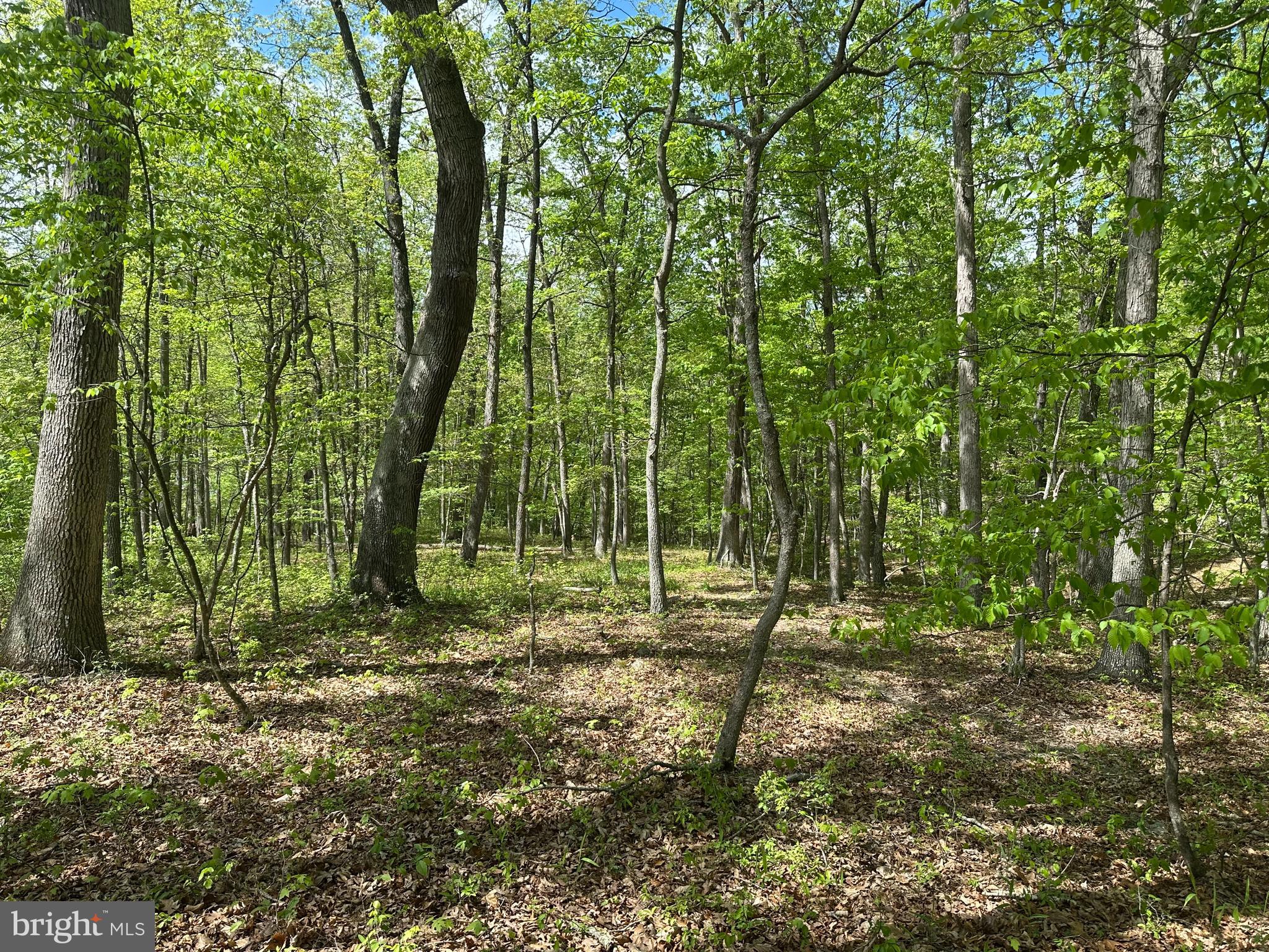 SOUTH POTOMAC FARMS # II - Land