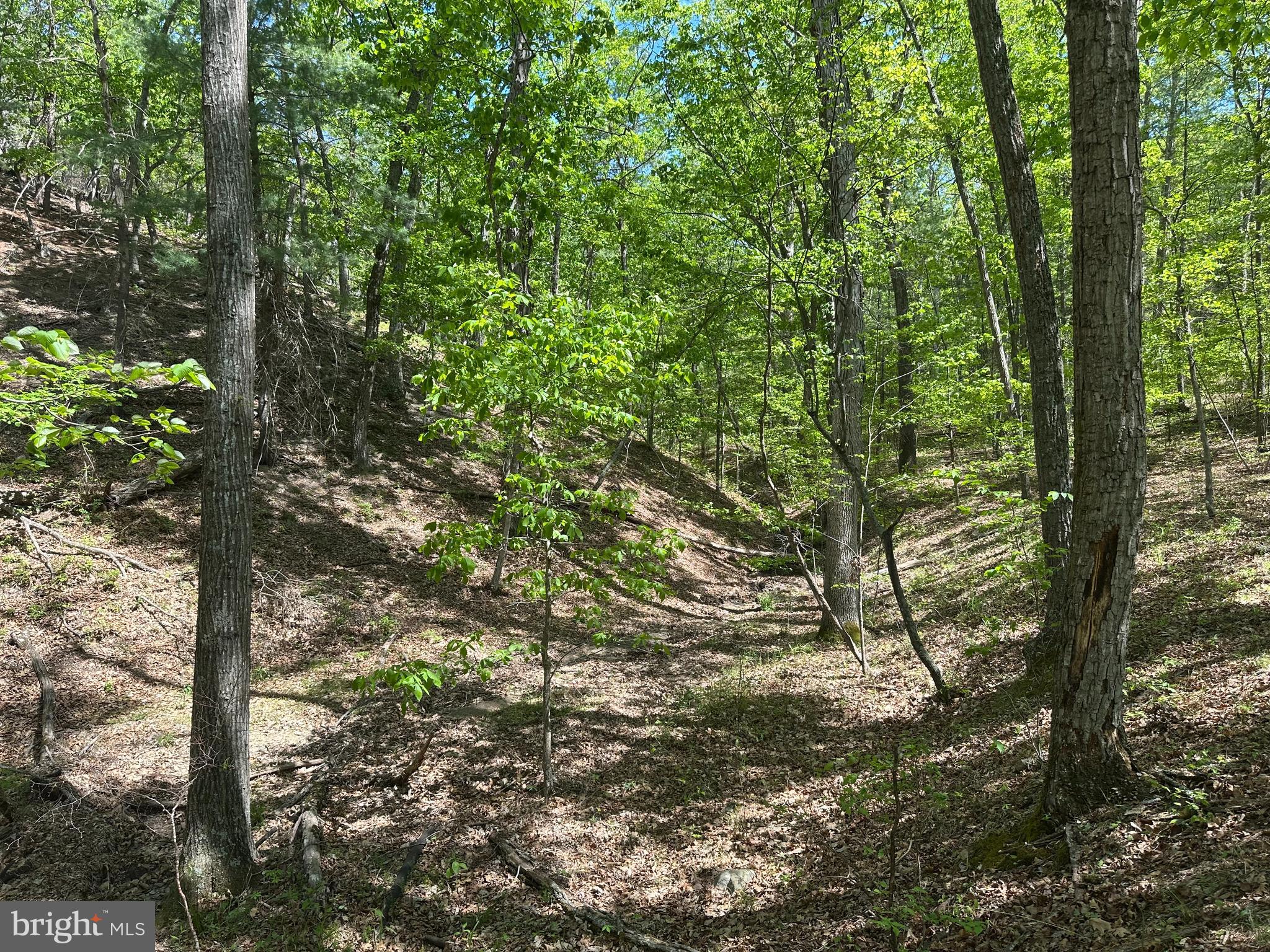 SOUTH POTOMAC FARMS # II - Land