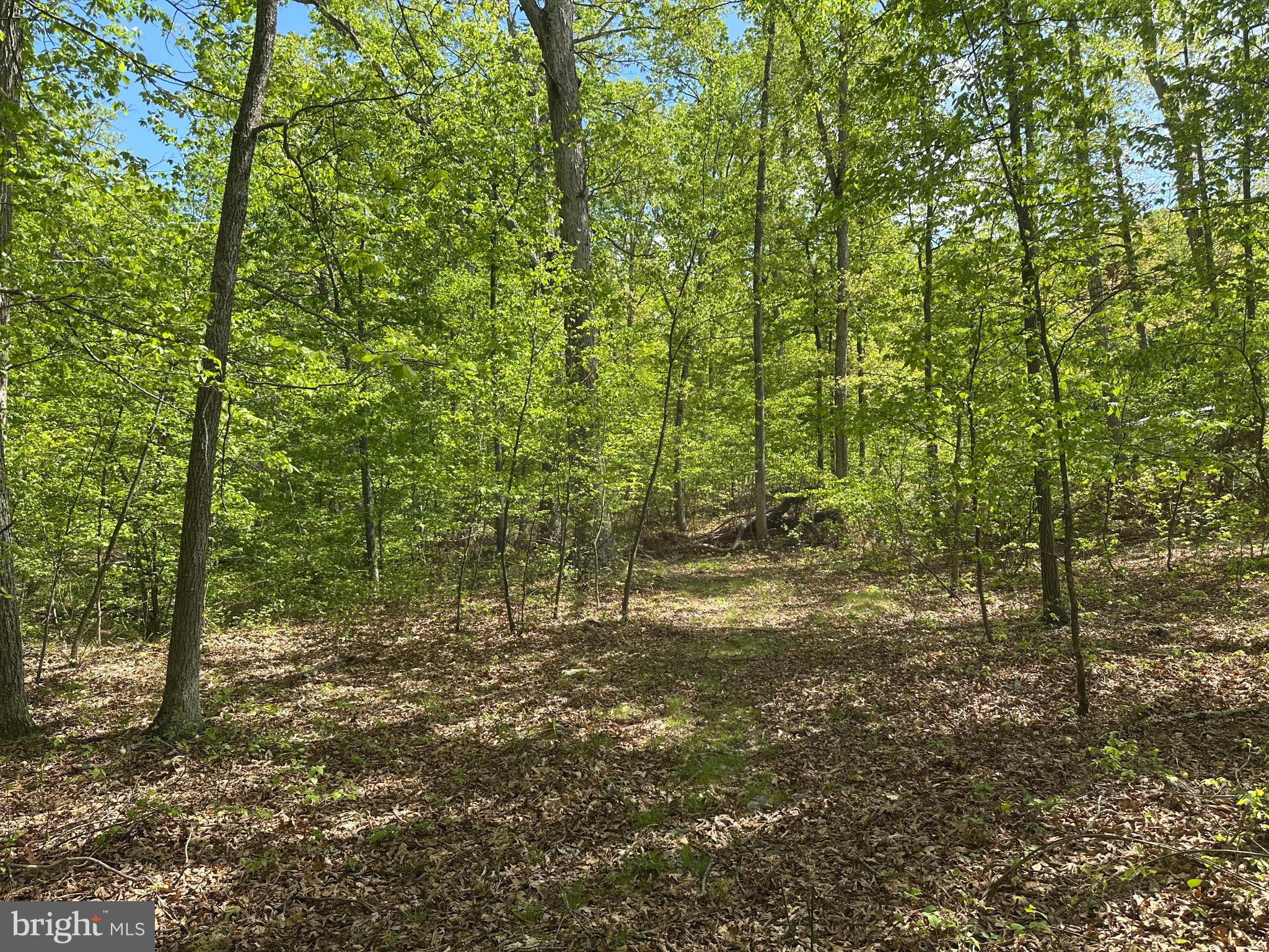 SOUTH POTOMAC FARMS # II - Land