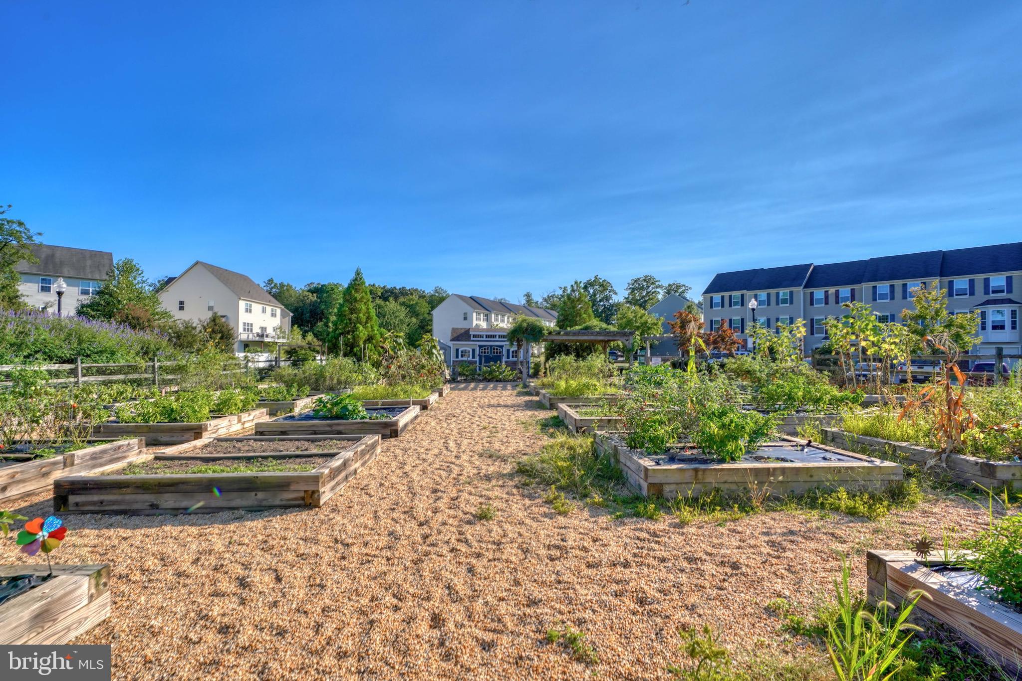 TANYARD SPRINGS - Residential Lease