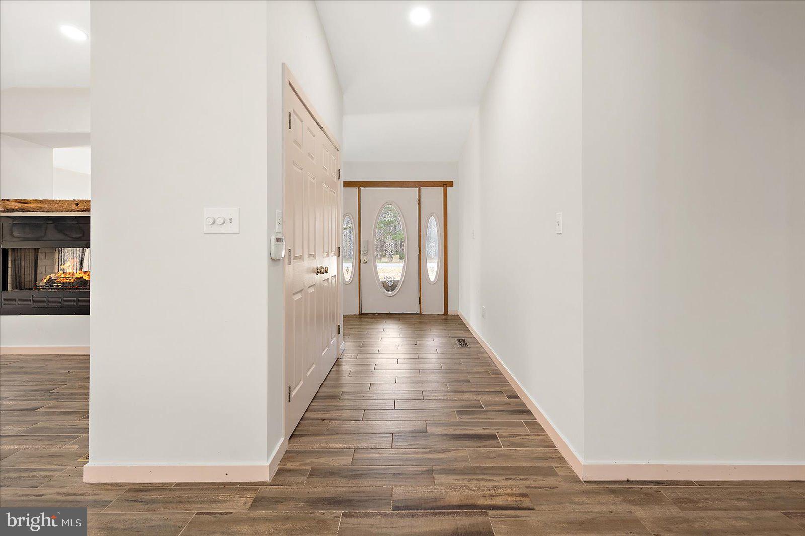 STRAY FOX - Residential