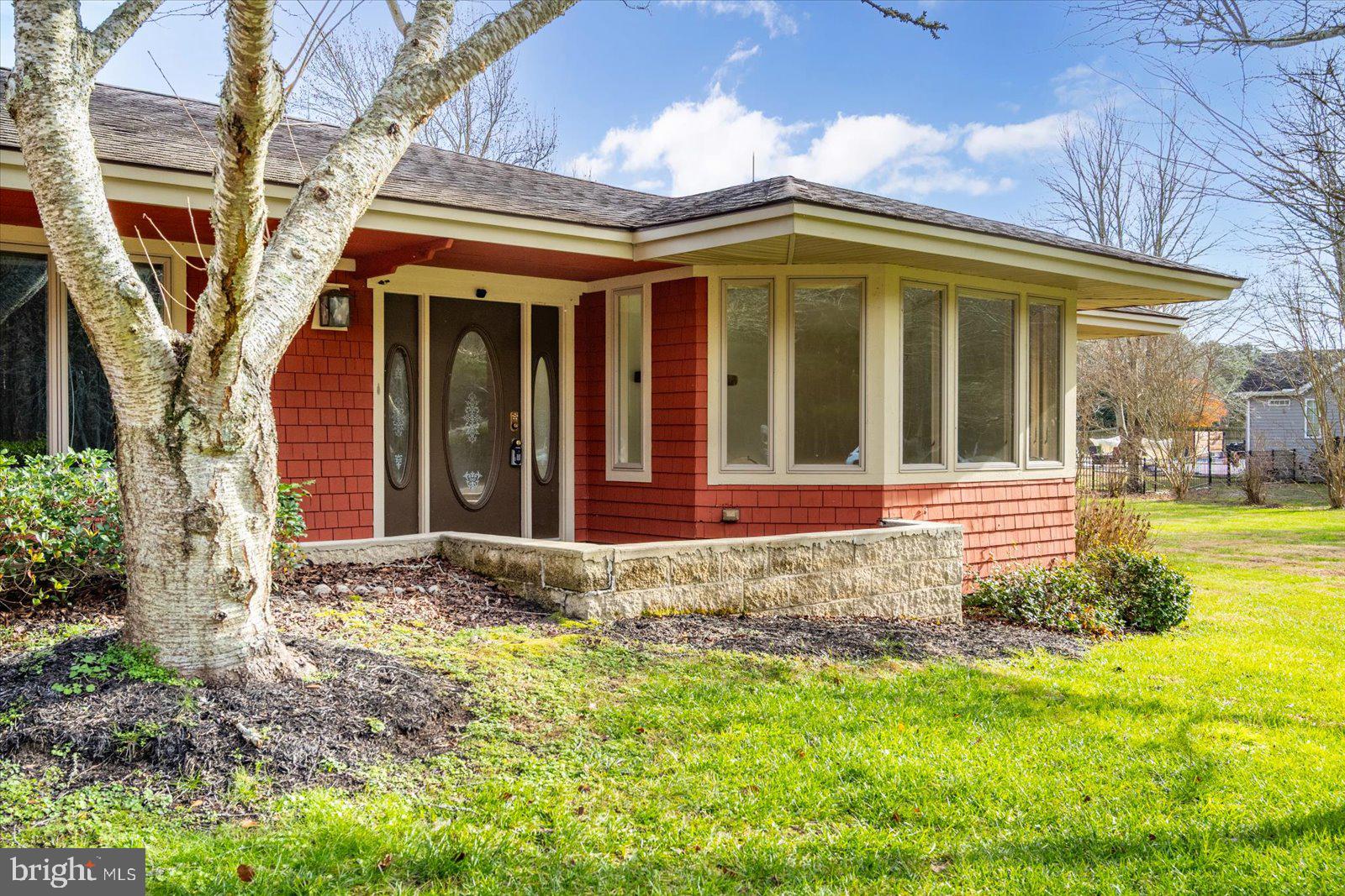 STRAY FOX - Residential