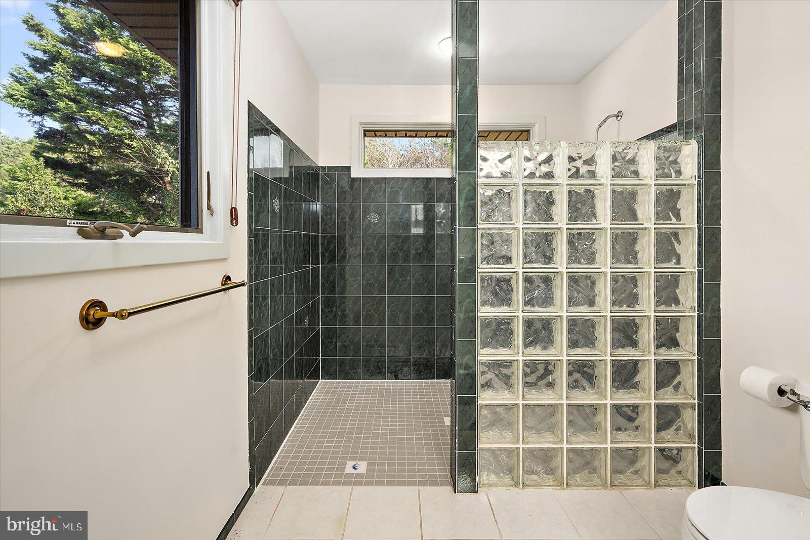 STRAY FOX - Residential