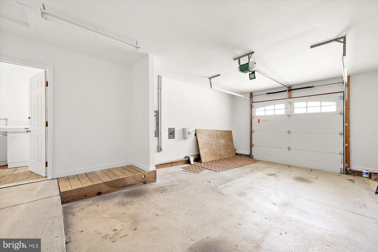 STRAY FOX - Residential