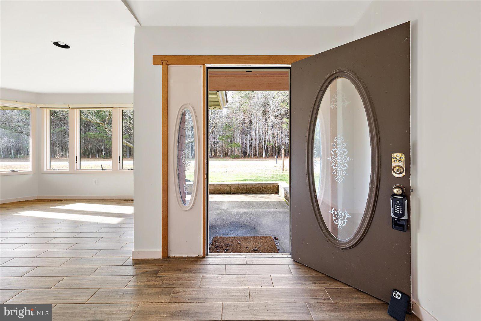 STRAY FOX - Residential