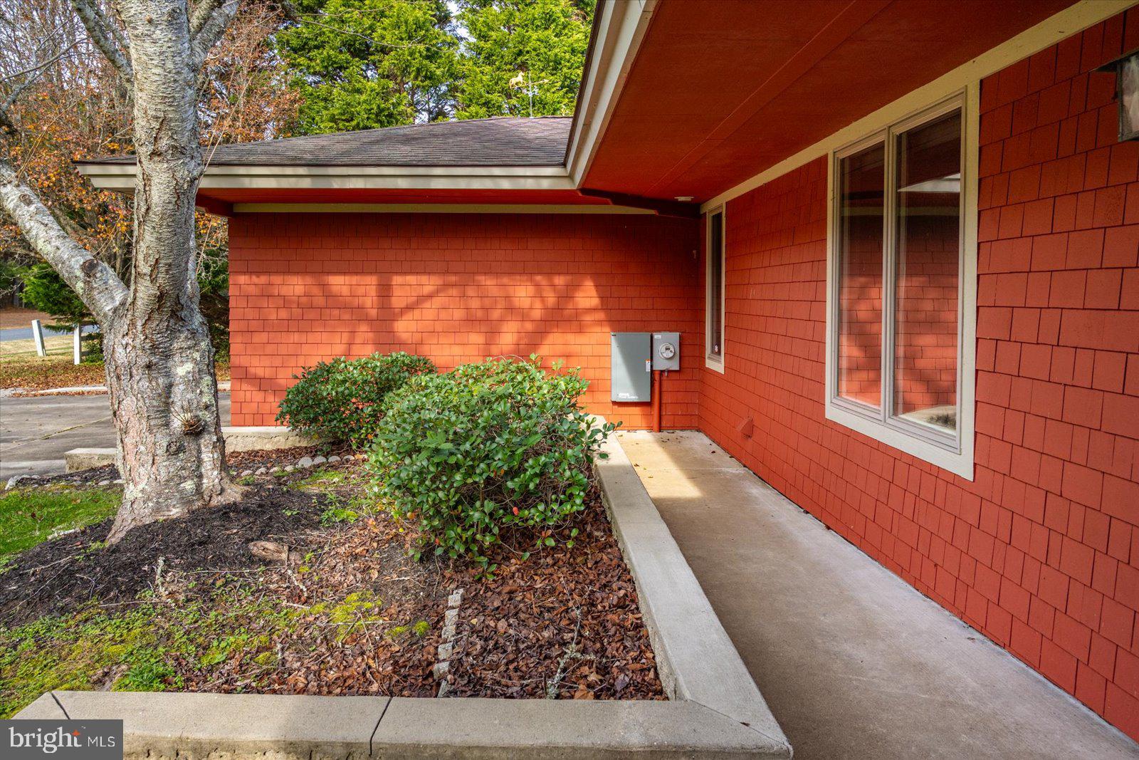 STRAY FOX - Residential