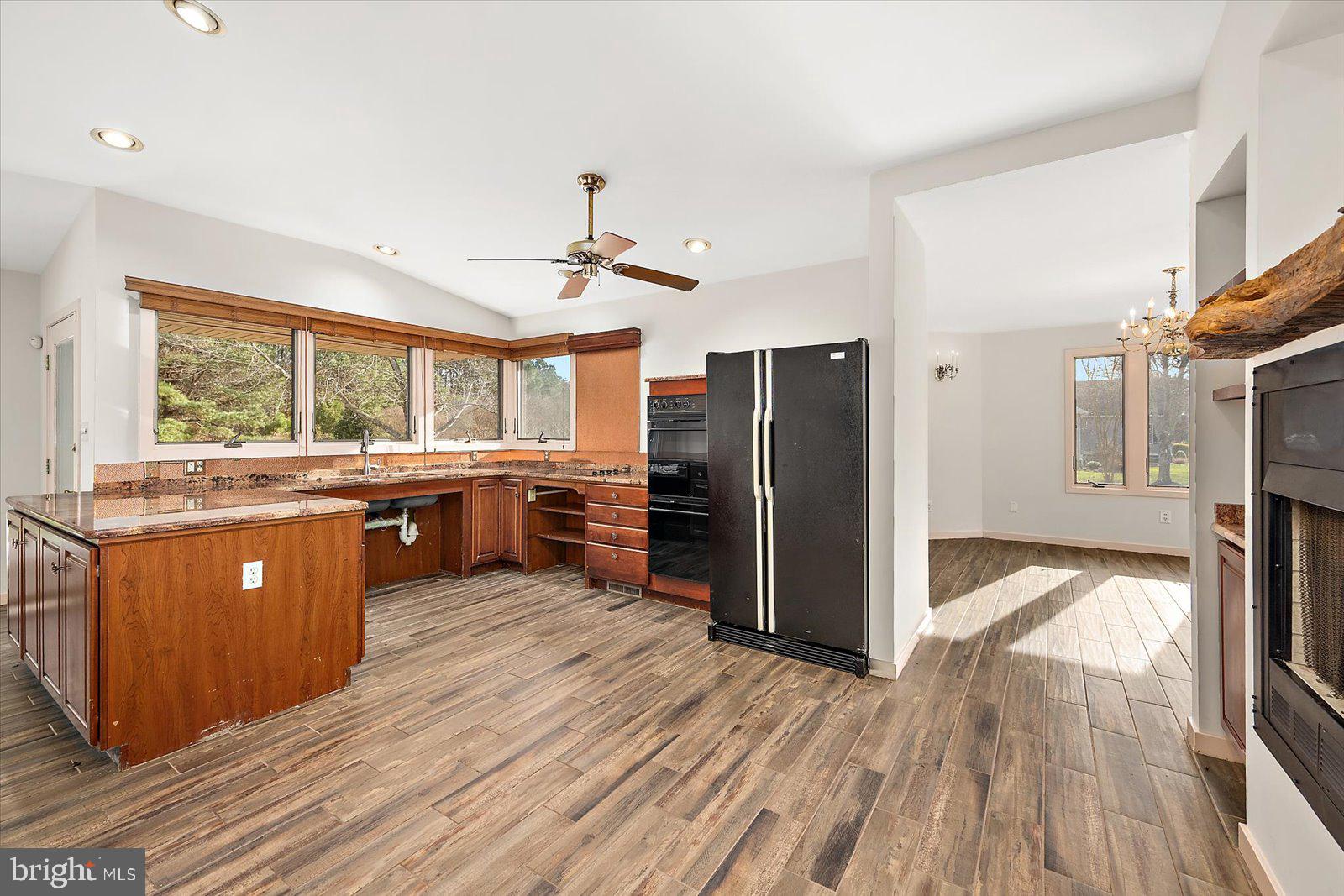 STRAY FOX - Residential