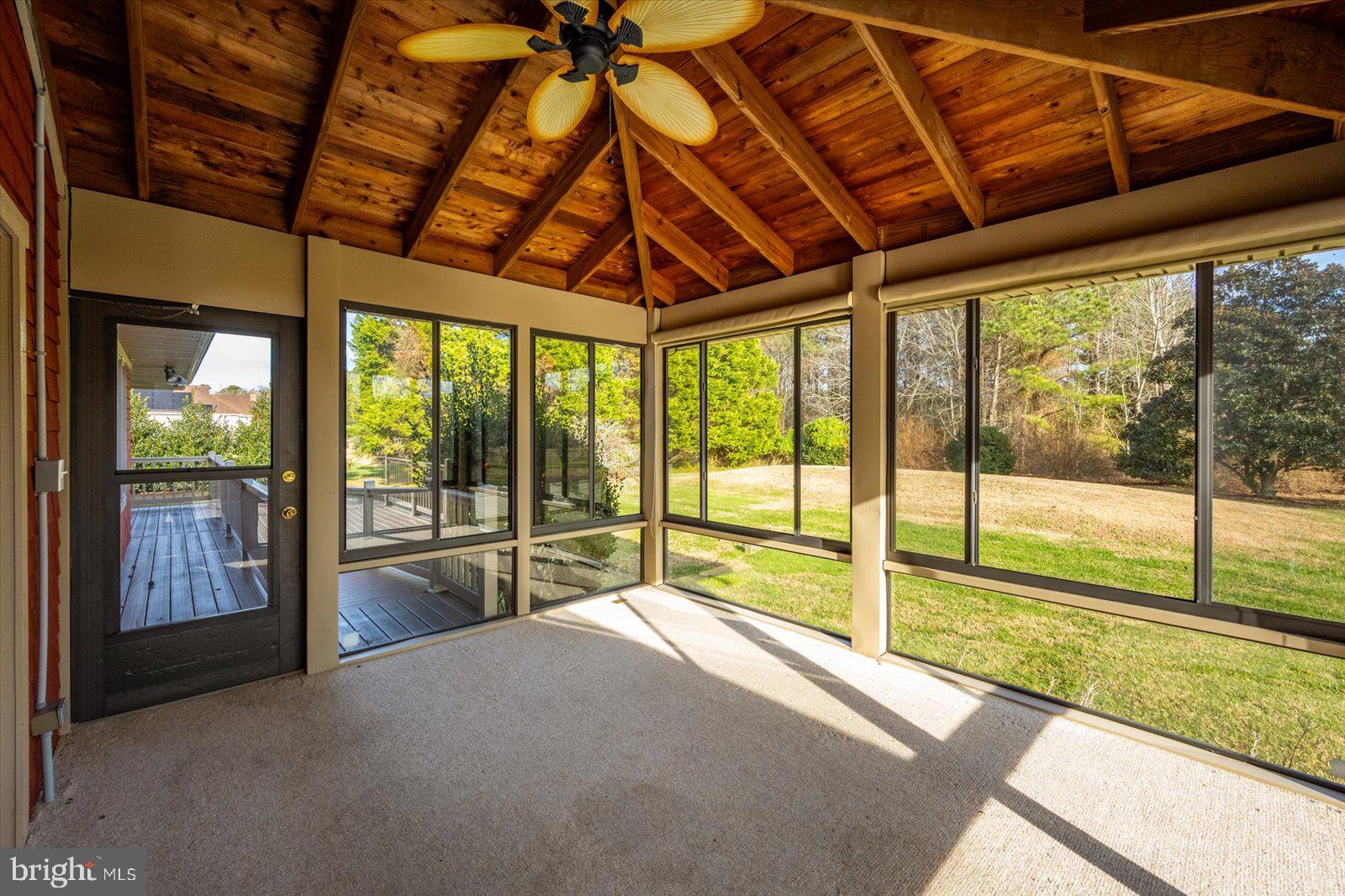 STRAY FOX - Residential