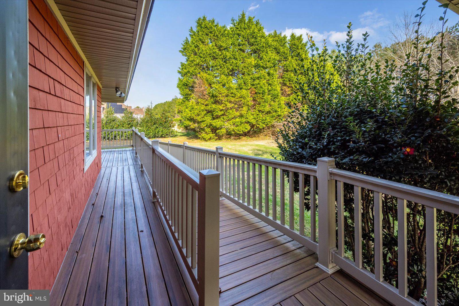 STRAY FOX - Residential