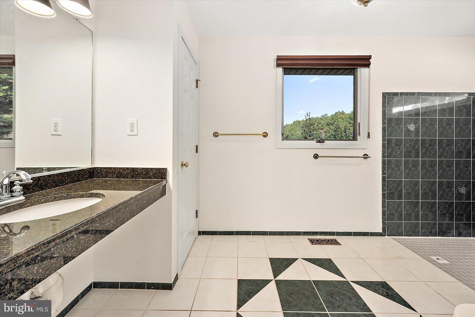 STRAY FOX - Residential