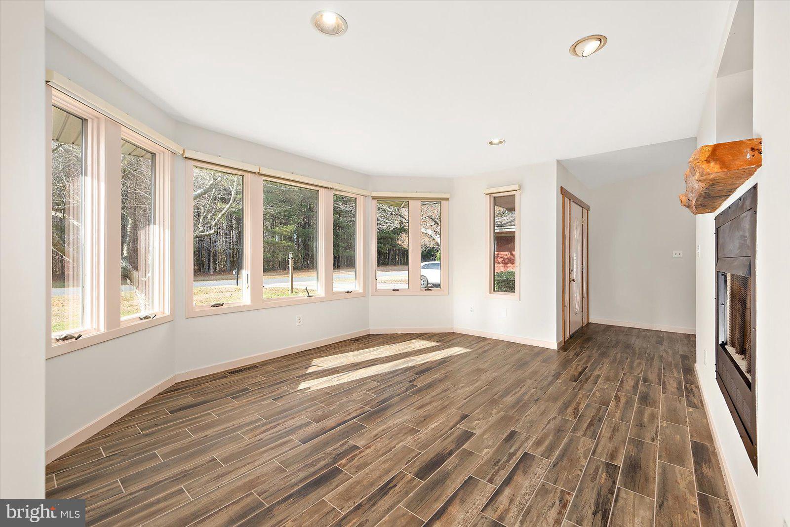 STRAY FOX - Residential