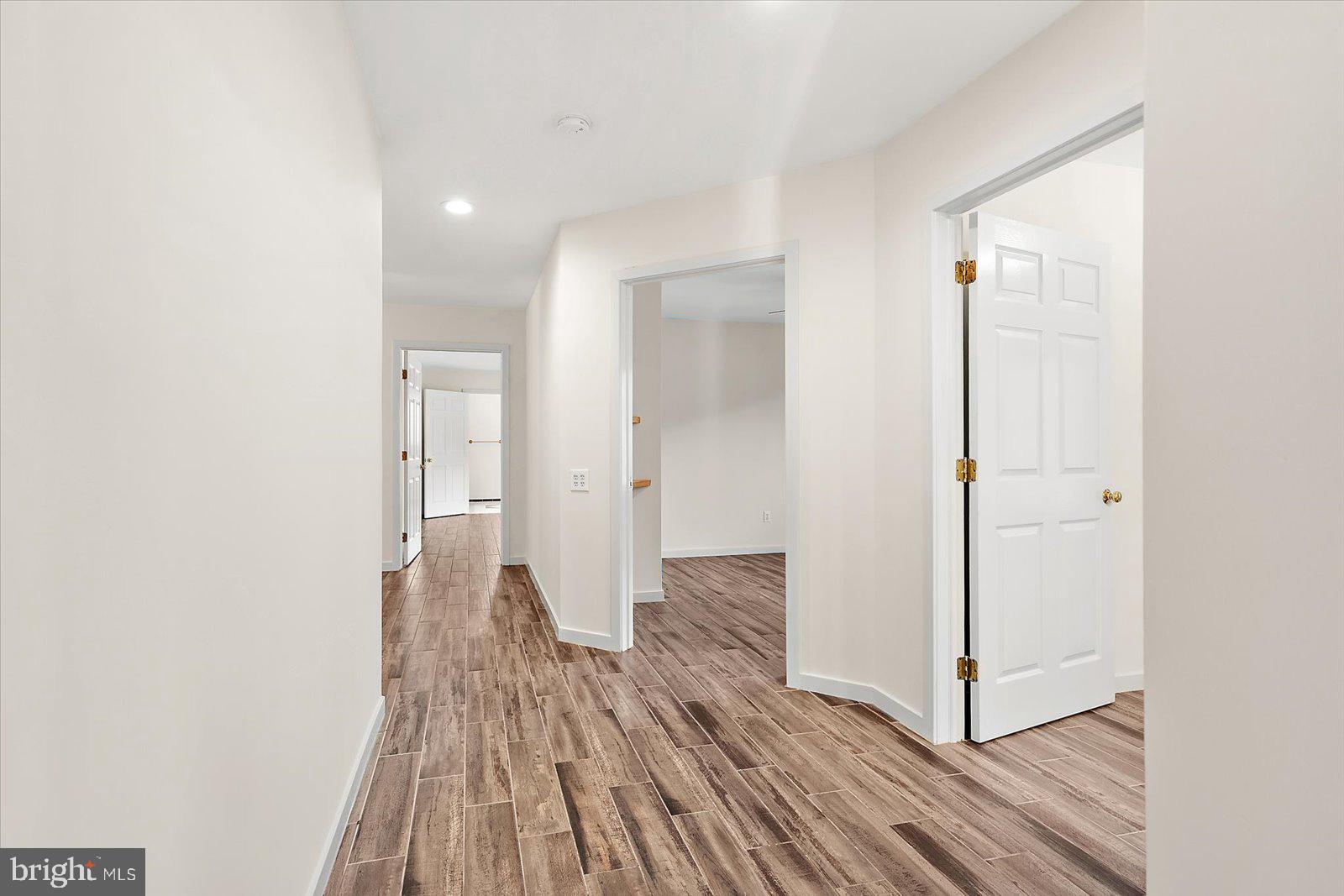 STRAY FOX - Residential