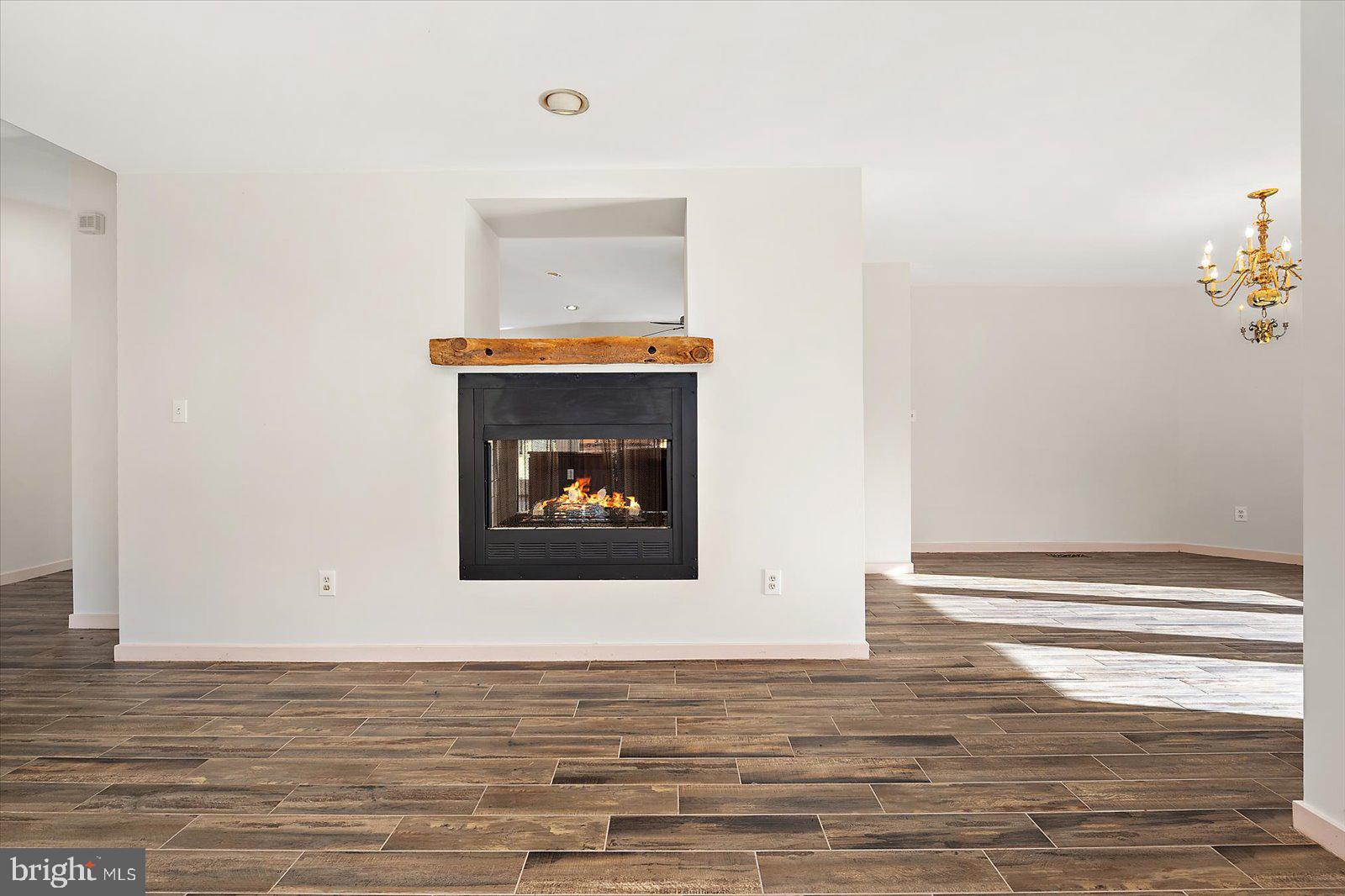 STRAY FOX - Residential