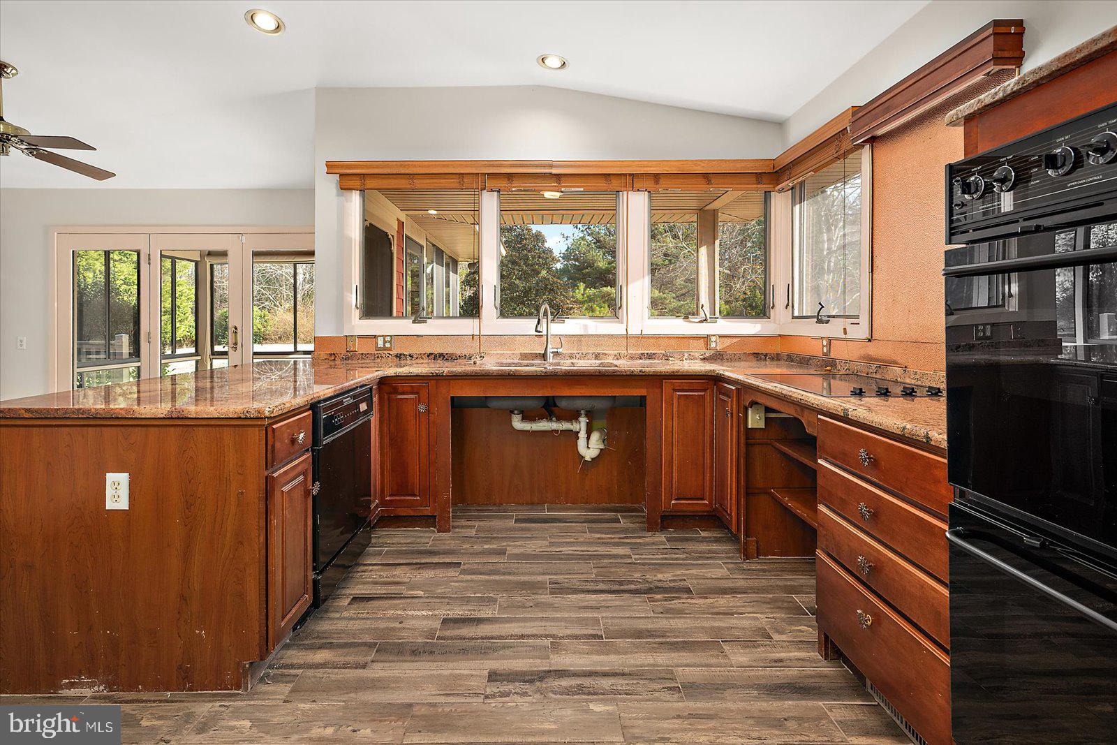 STRAY FOX - Residential