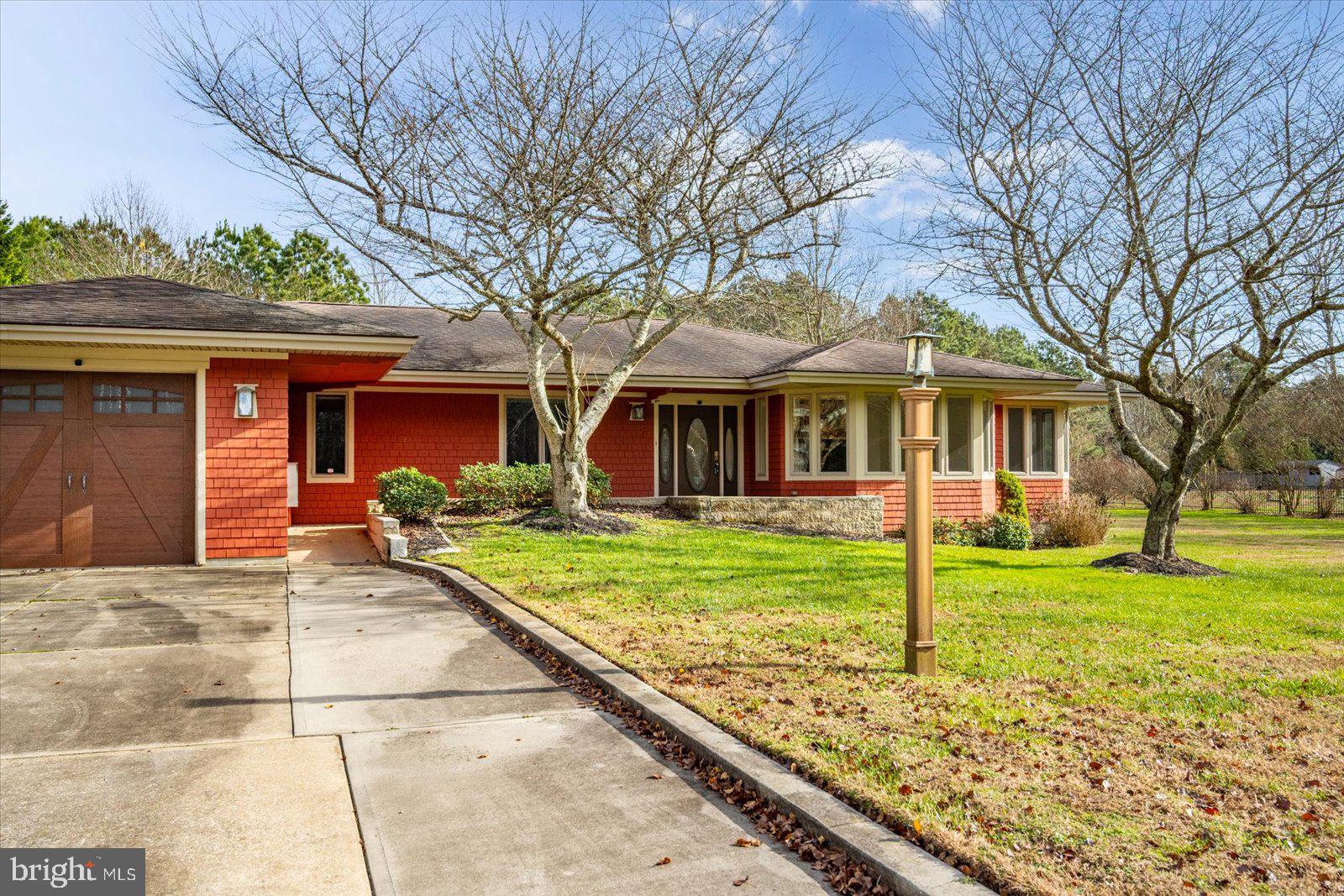 STRAY FOX - Residential