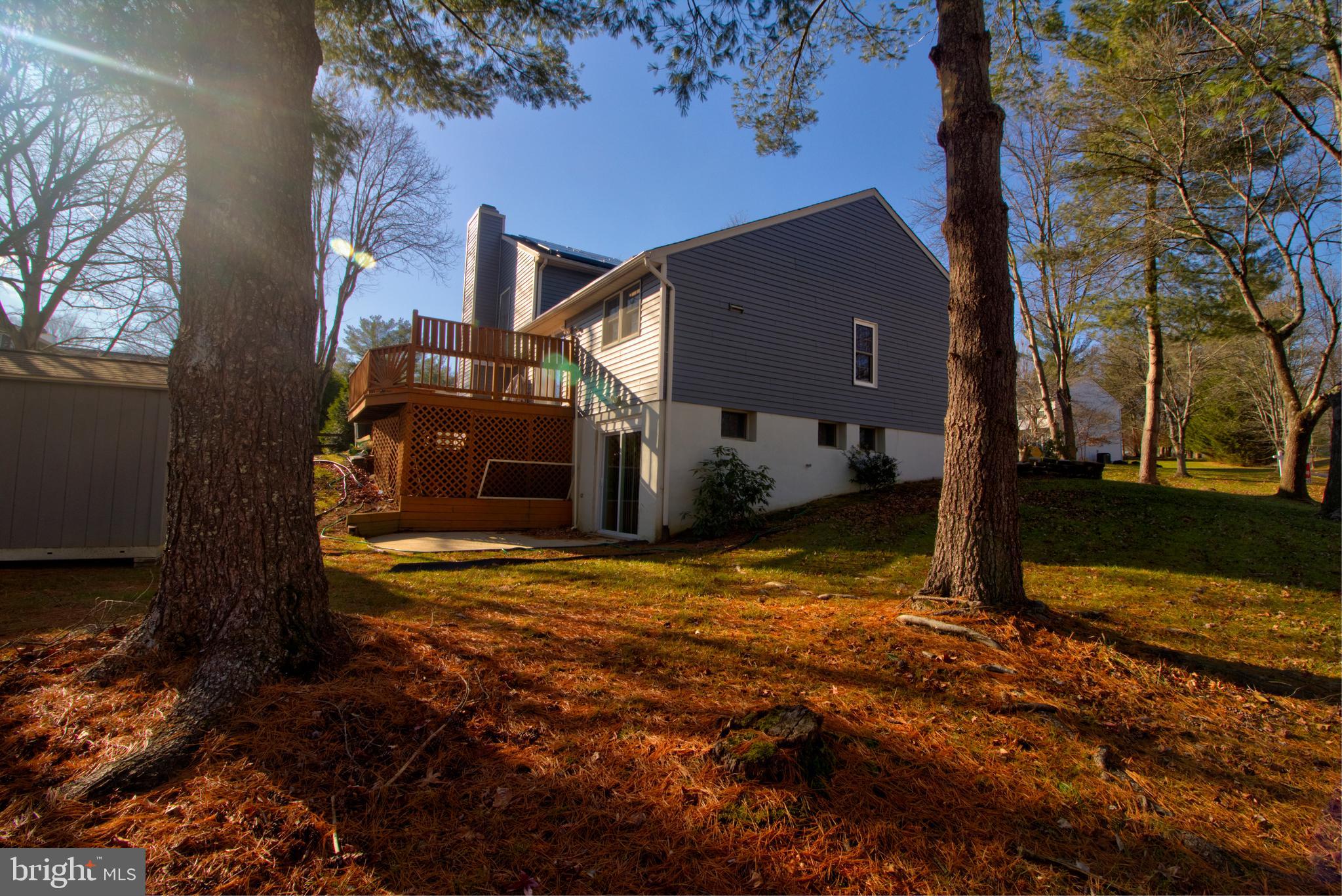 DORSEY SEARCH - Residential