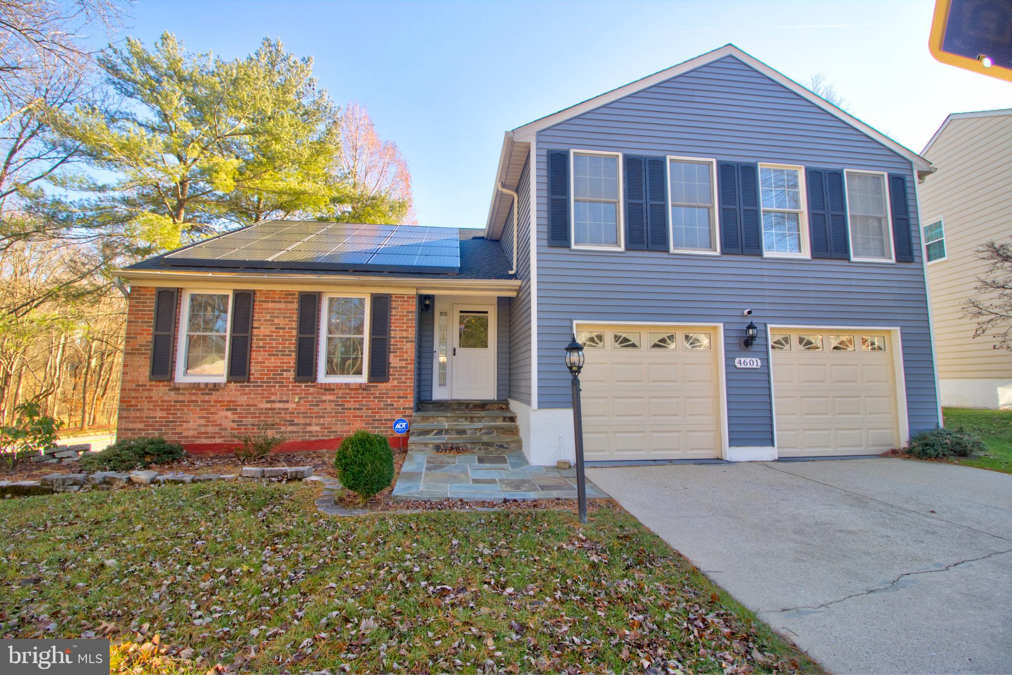 DORSEY SEARCH - Residential