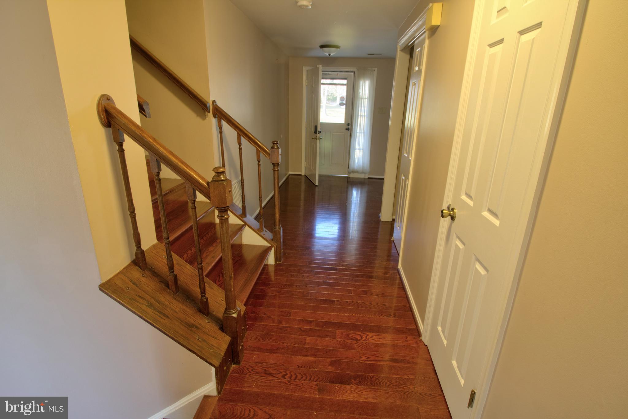 DORSEY SEARCH - Residential