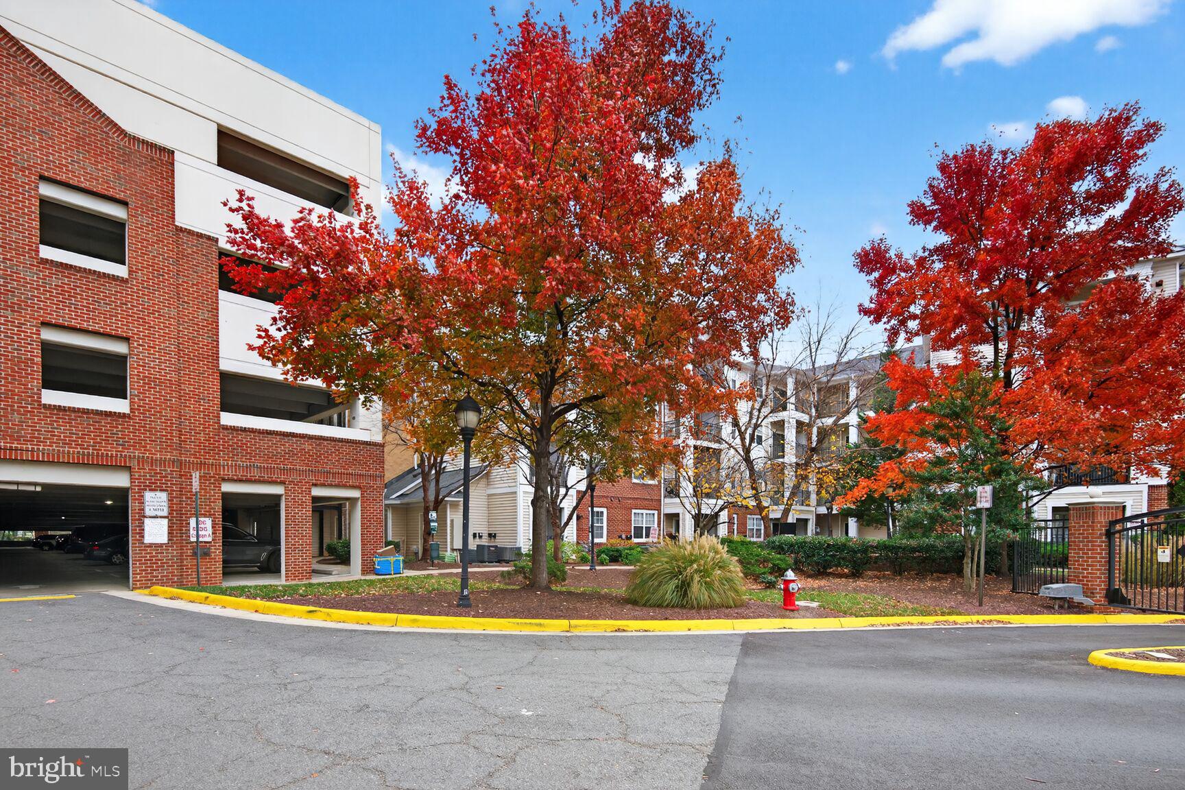 BRYSON AT WOODLAND PARK - Residential Lease