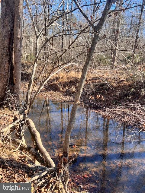 OAKWOOD LAKE ESTATES - Land