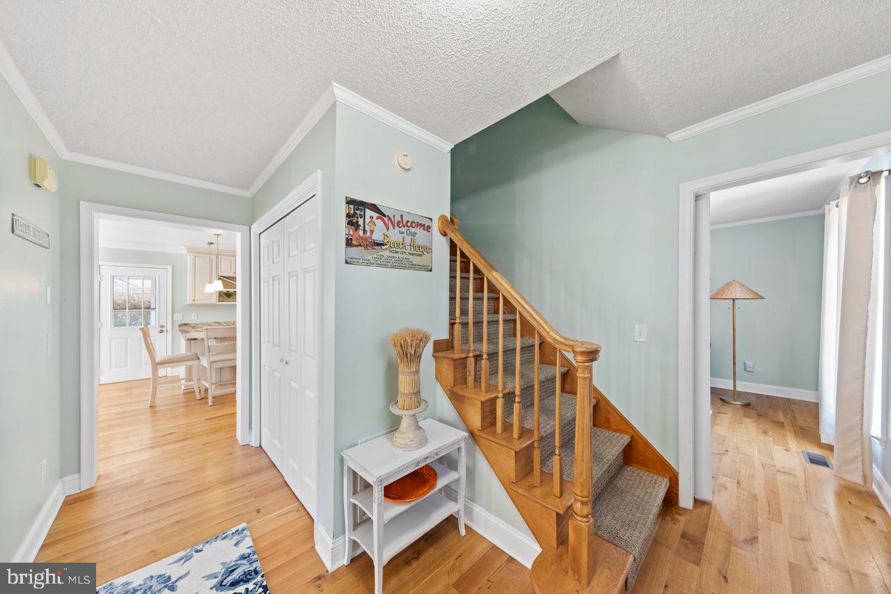 CAINE WOODS - Residential