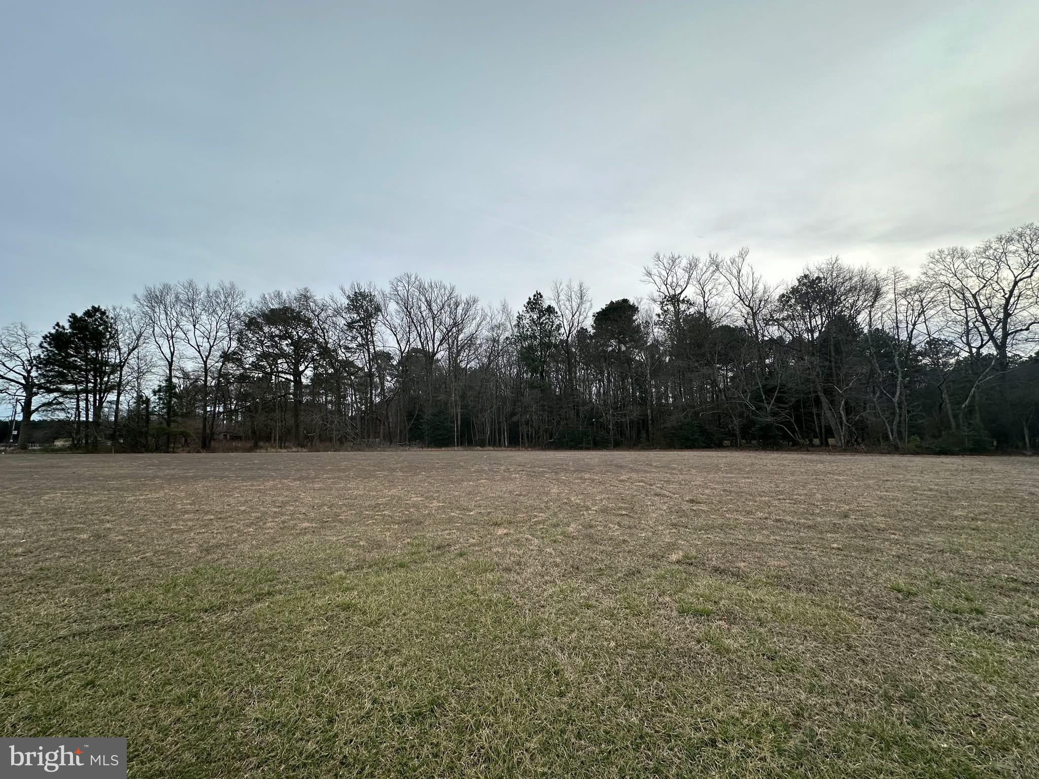 31211 OLDE FRUITLAND ROAD