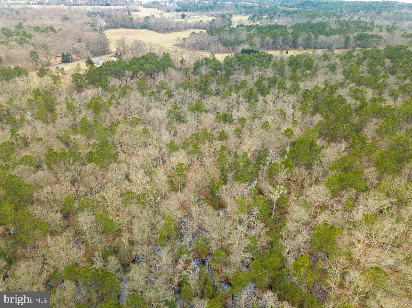 JUDGES RETREAT - Land