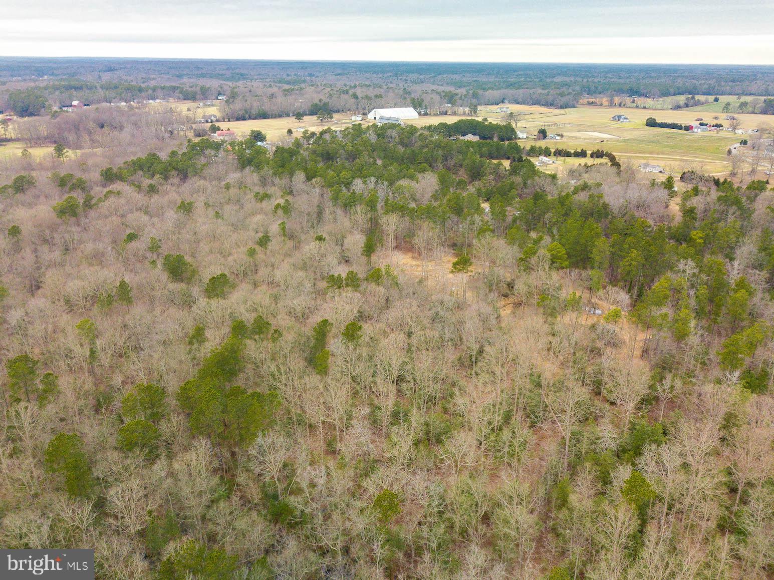 JUDGES RETREAT - Land