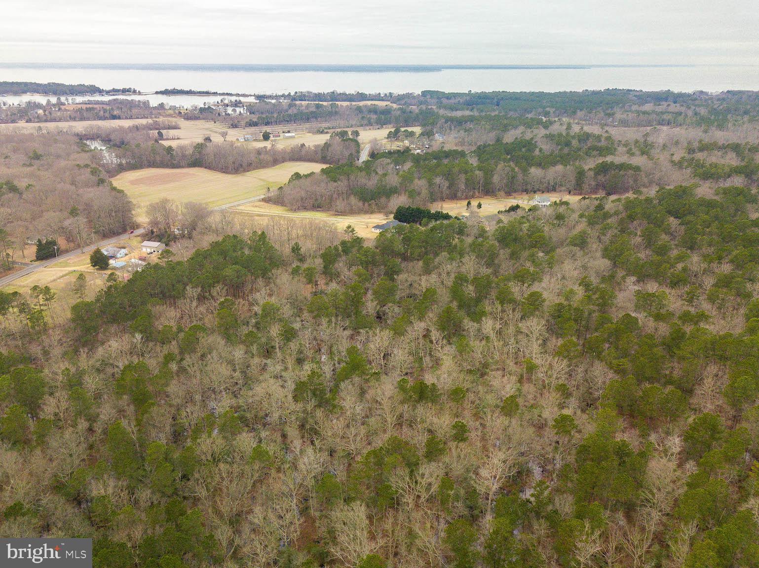 JUDGES RETREAT - Land