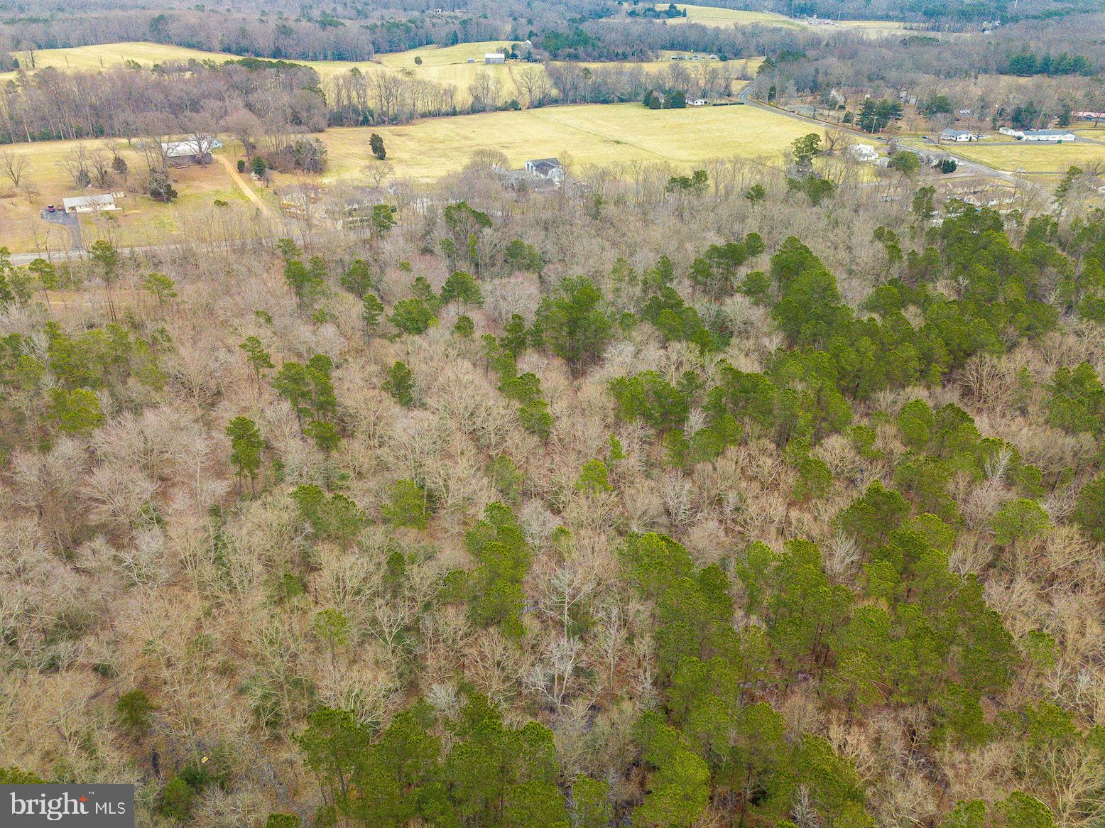 JUDGES RETREAT - Land