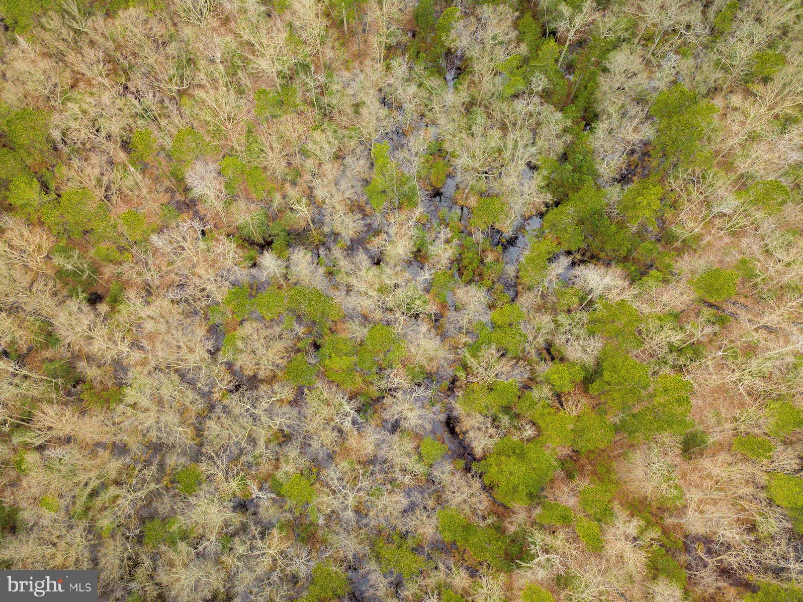 JUDGES RETREAT - Land