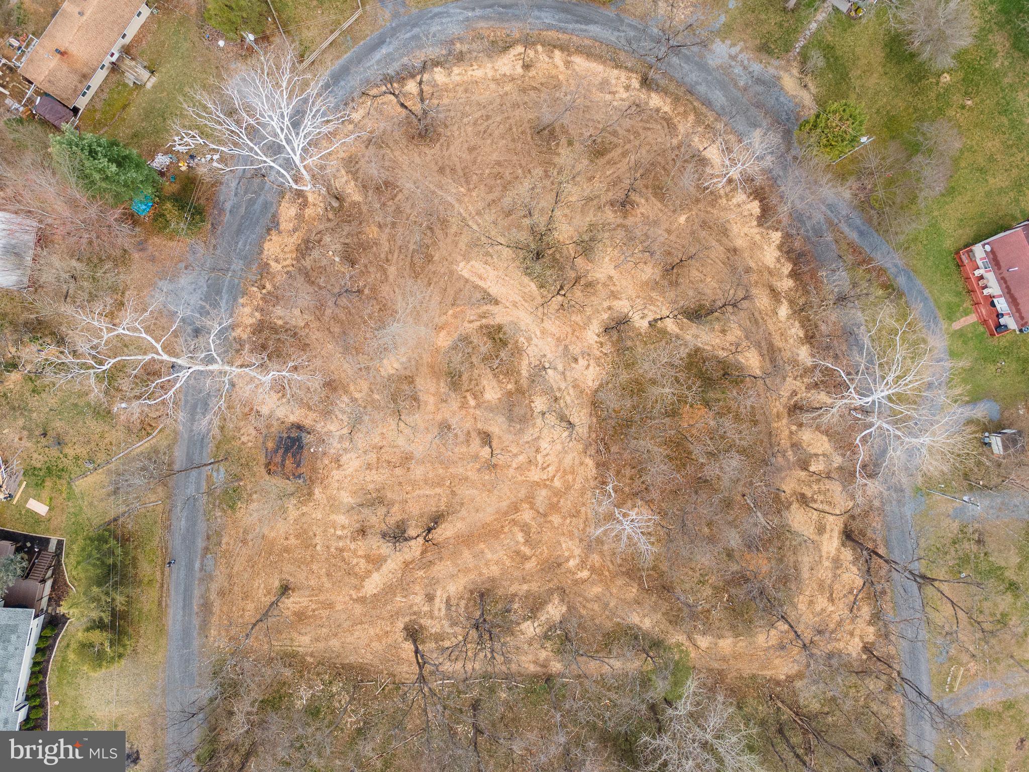 BLACK BEAR CROSSING - Land