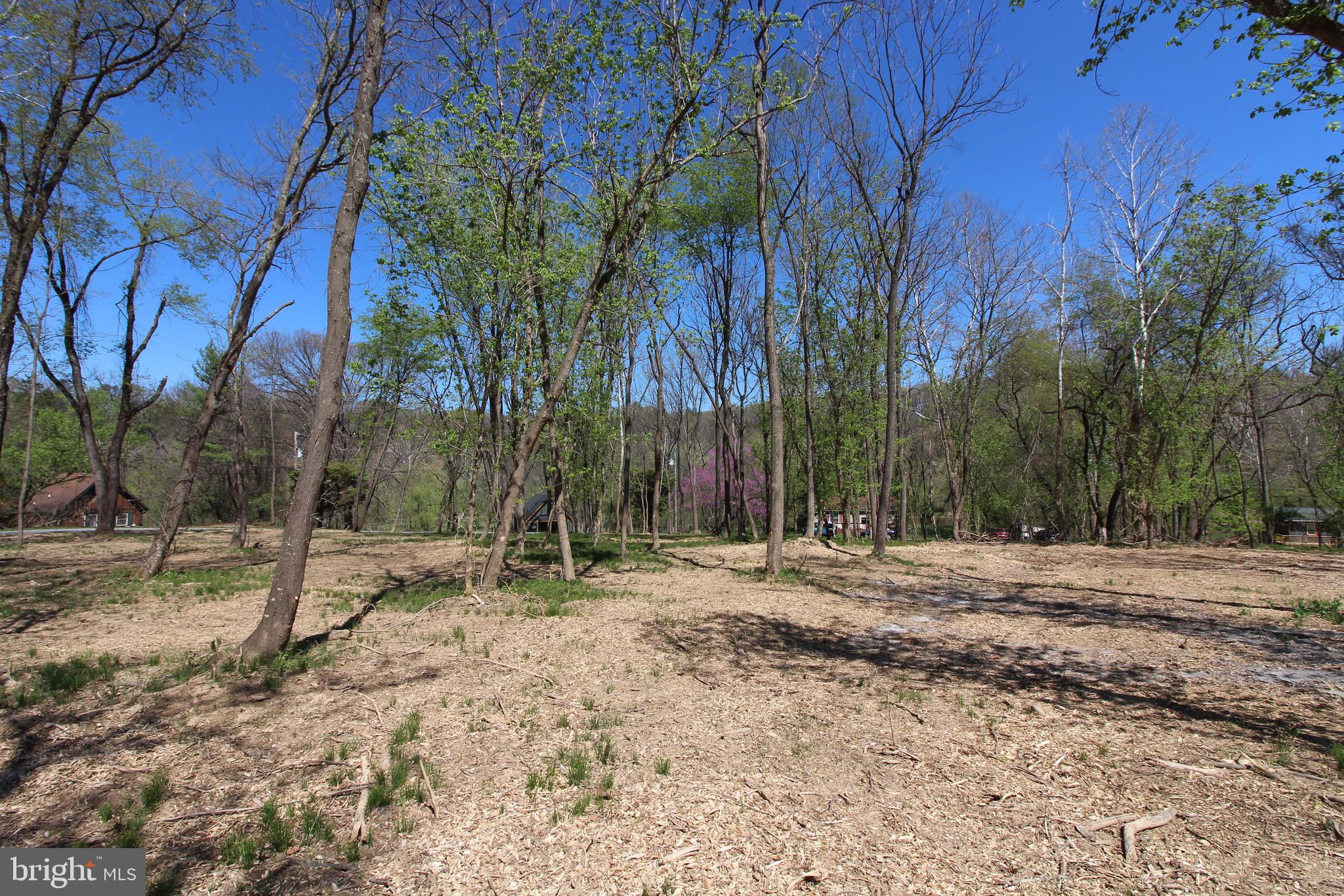 BLACK BEAR CROSSING - Land