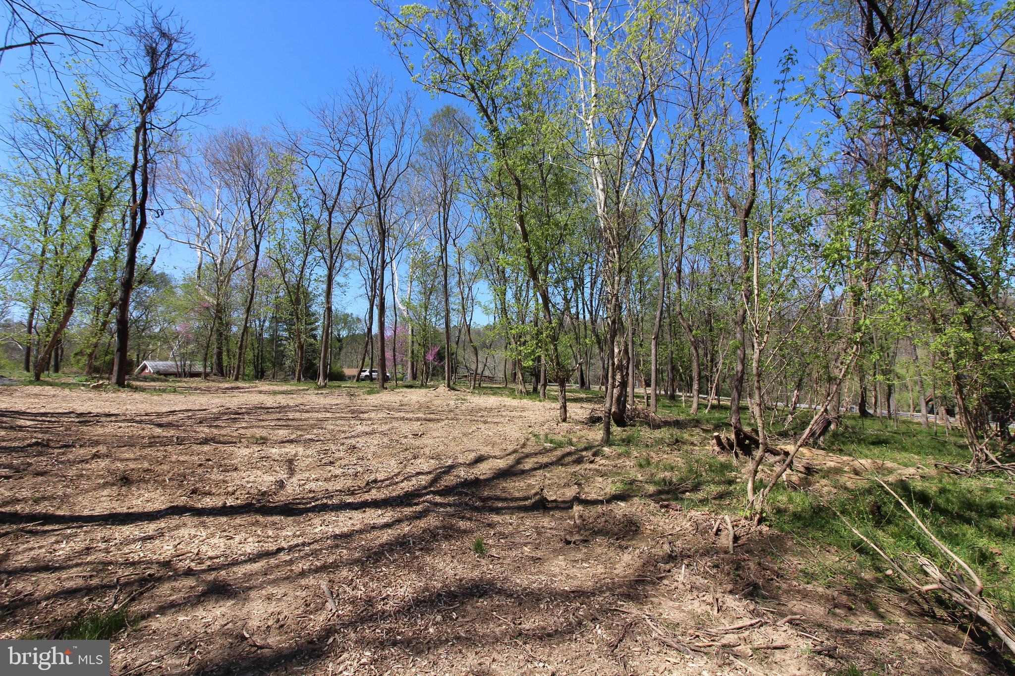 BLACK BEAR CROSSING - Land