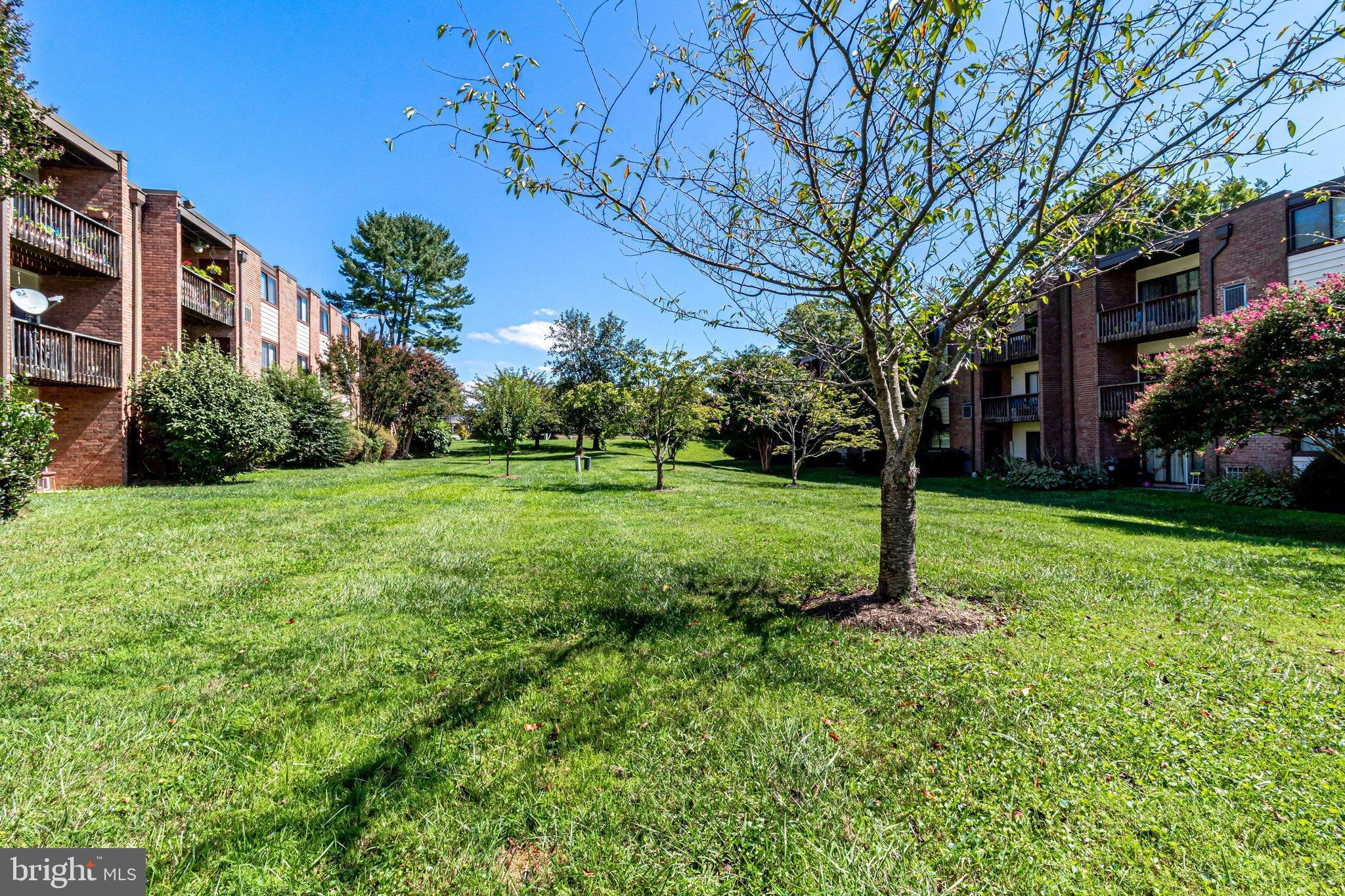 FAIRFAX WEST - Residential Lease