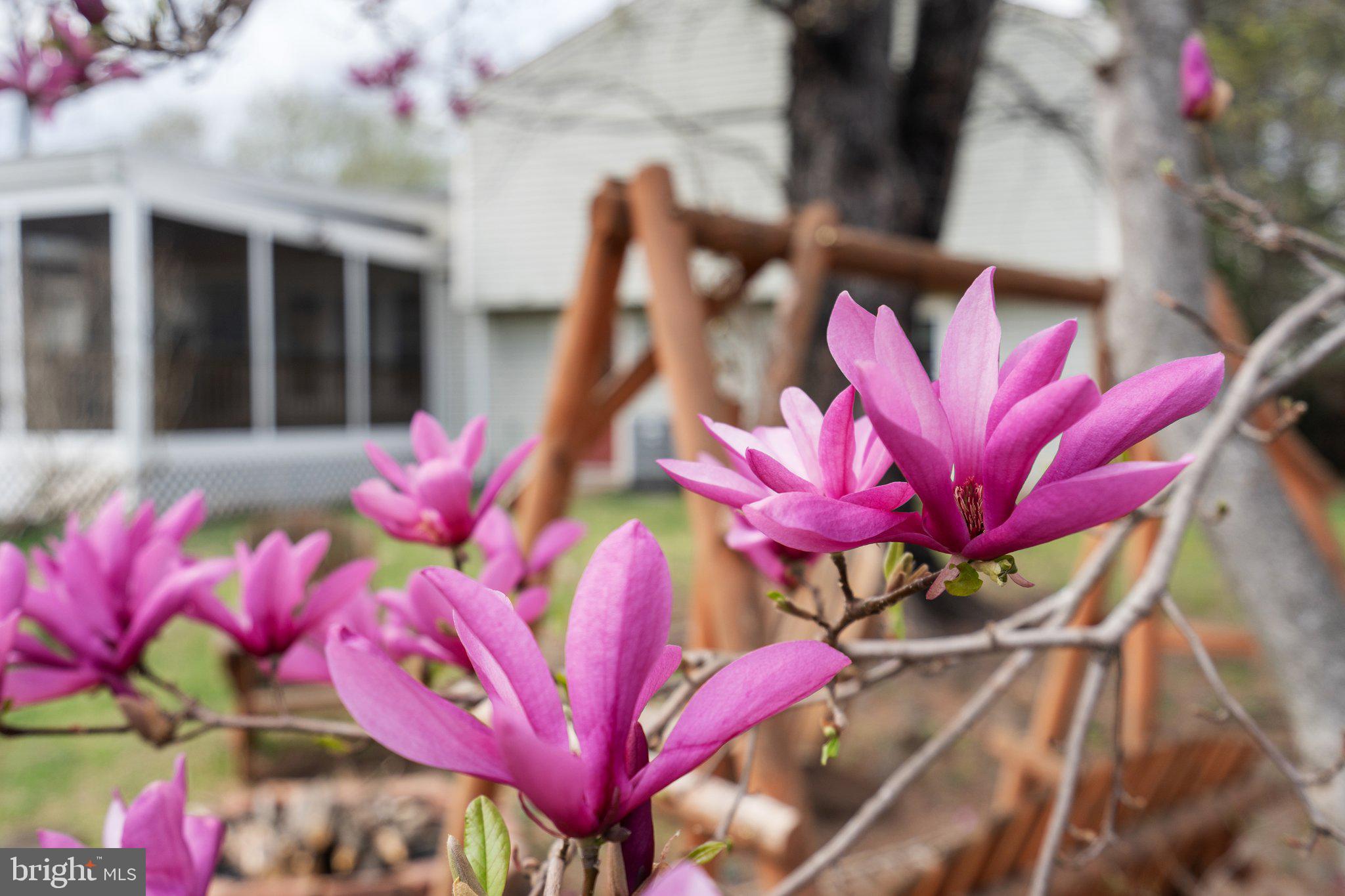 LEESBURG COUNTRY CLUB - Residential