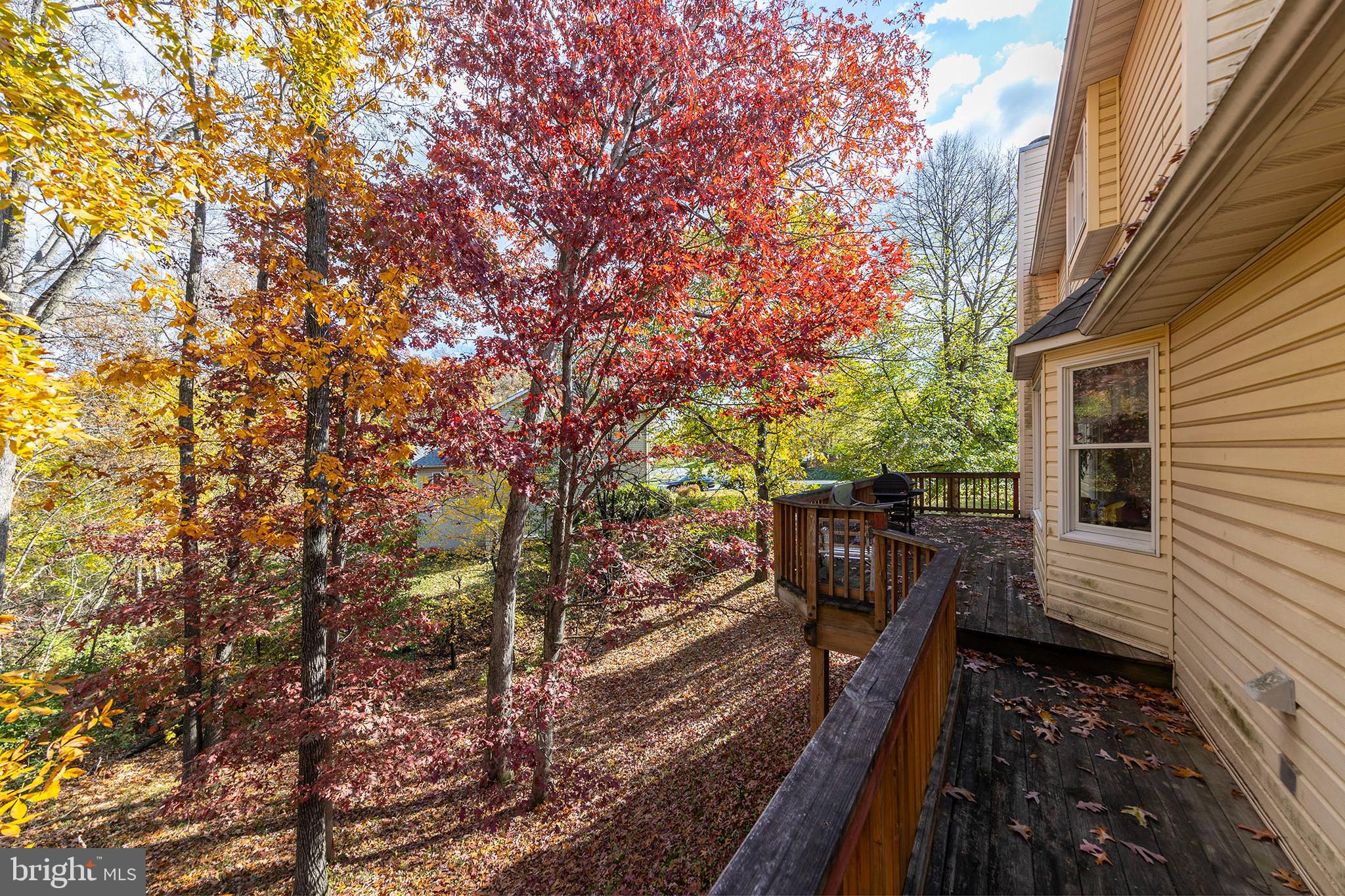 PIONEER HEIGHTS - Residential