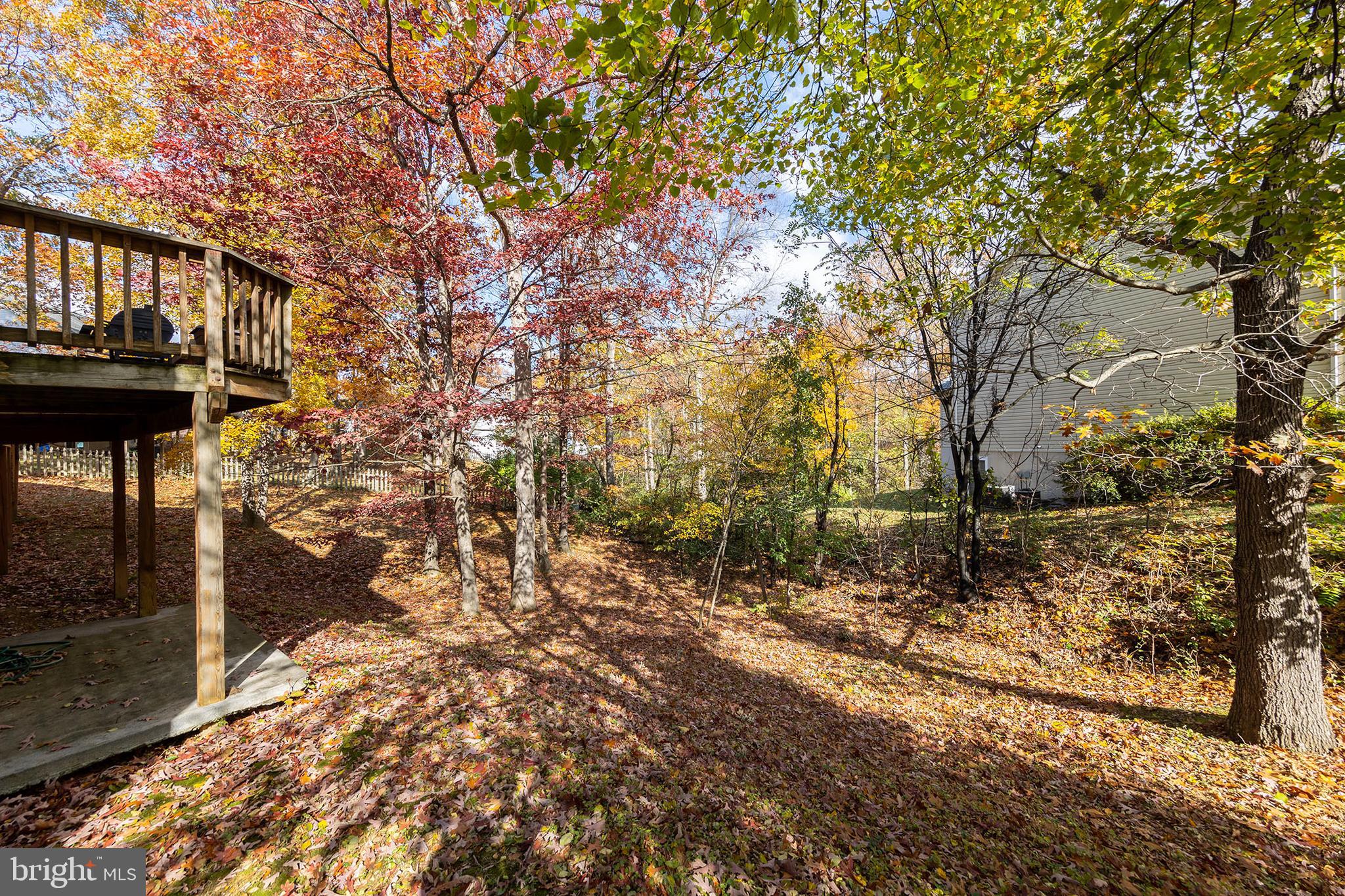 PIONEER HEIGHTS - Residential