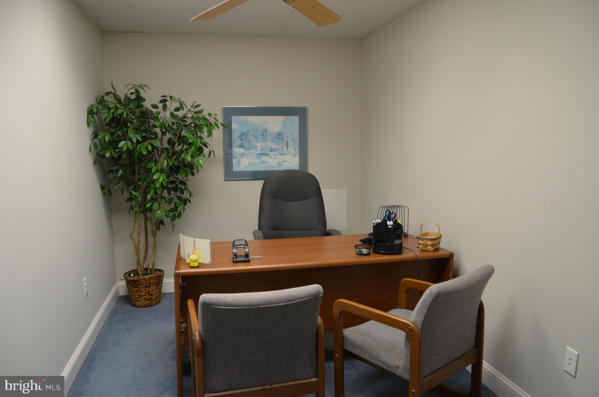 BRISCOE - Commercial Lease