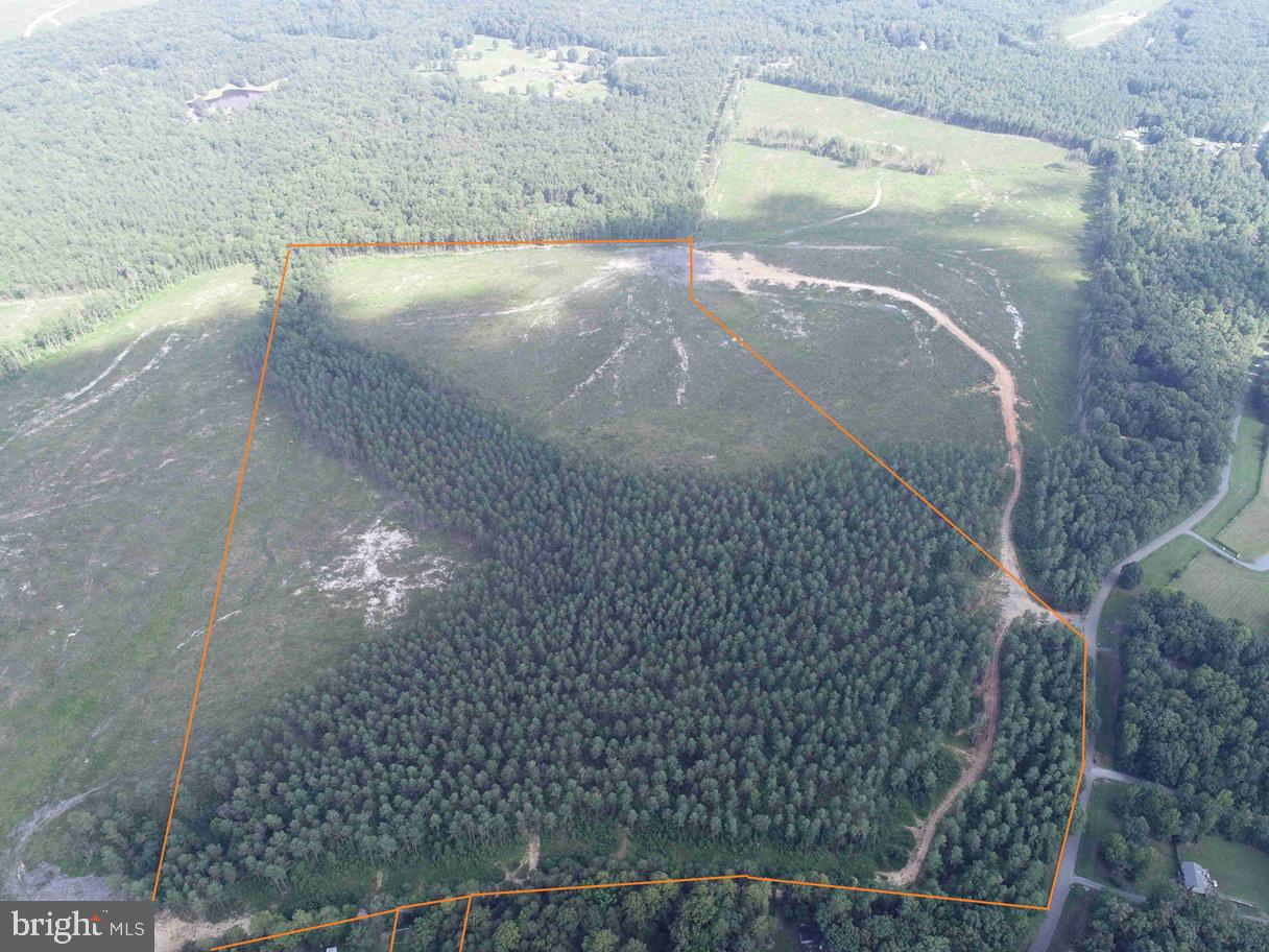 HOLLAND ROAD (TRACT: JR BEDFORD-BOWLES_SIMS-1)